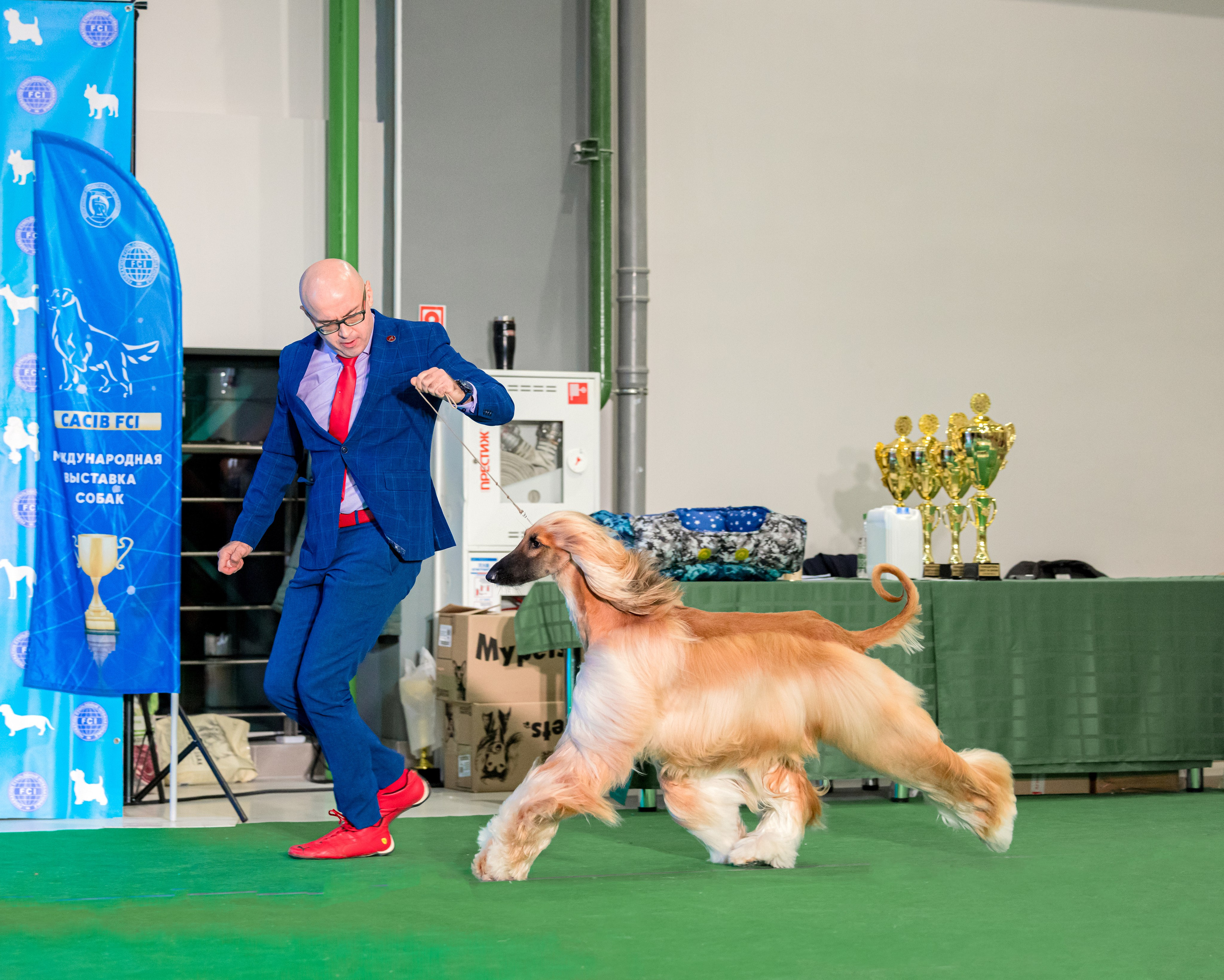 Минск 25-26.11.2023. Фотограф-анималист Юлия Германика