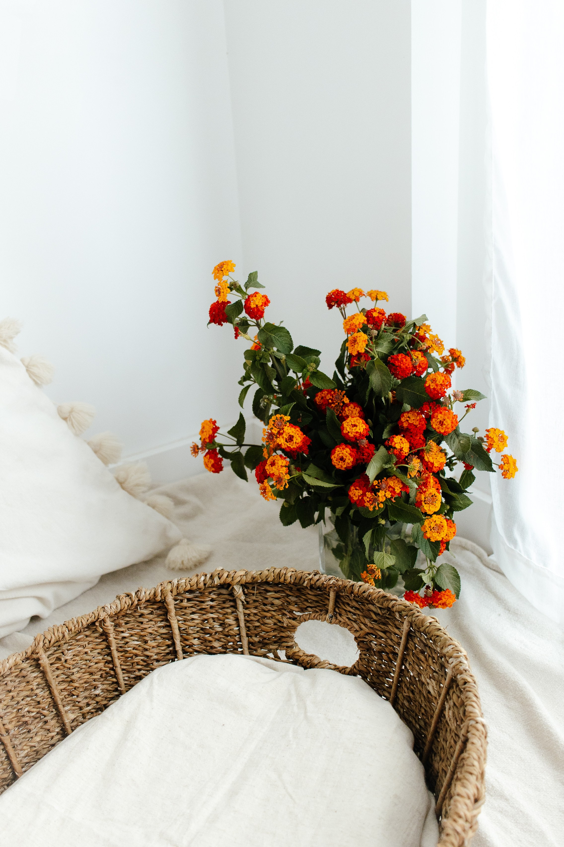 Фотограф Уфа / новорожденные, беременность, семейная фотосессия, фотосессия 1 годик, свадьба