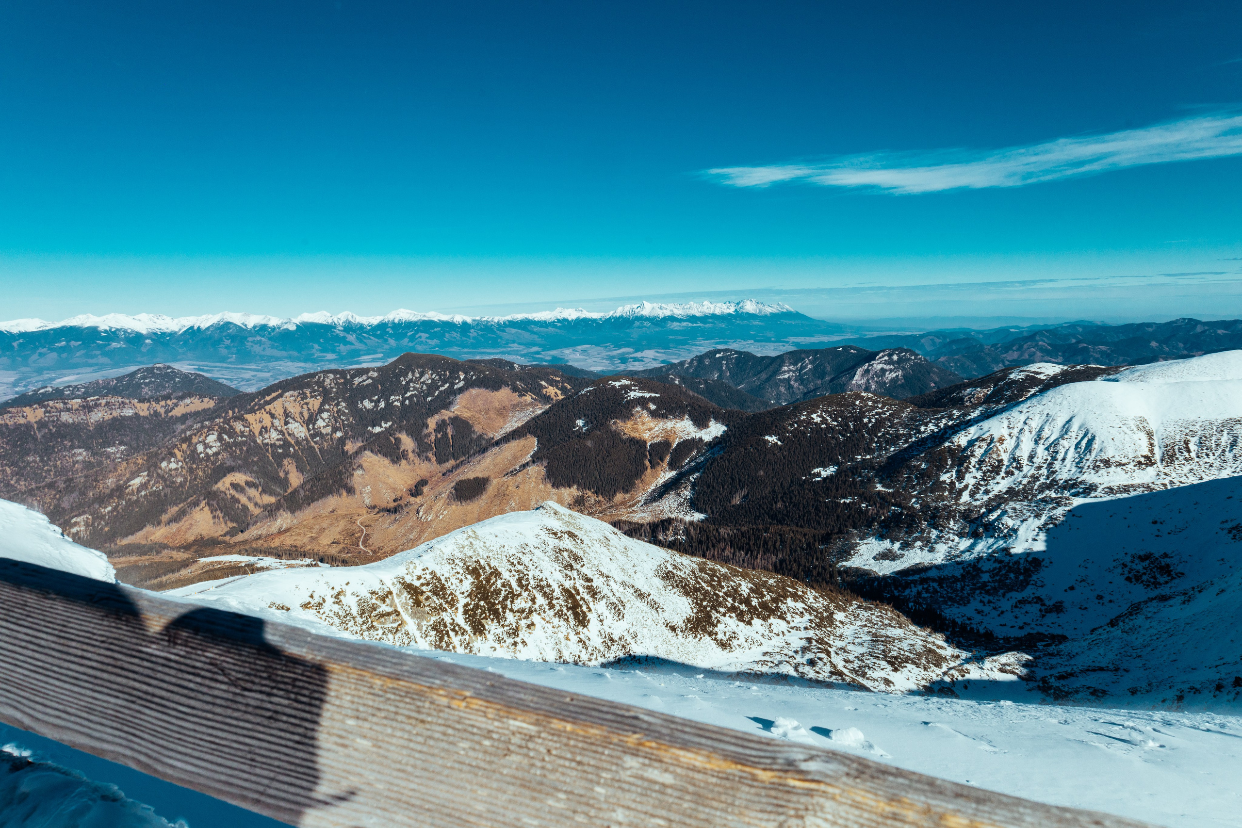 Лыжи 2025. Фотограф Владислав Воронович