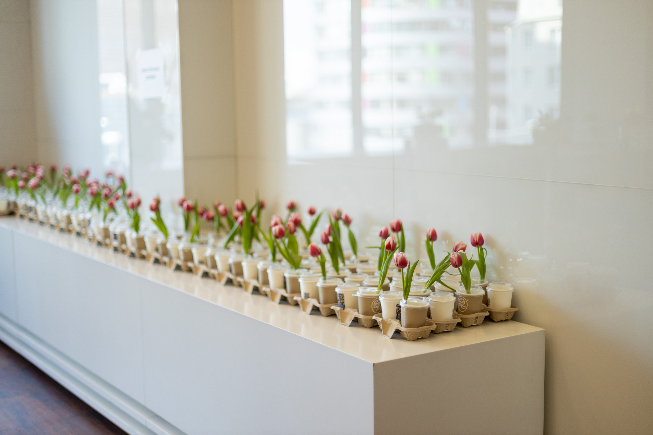 Презентация книги «История НИ одной женщины». Дацук Анна Фотограф из Екатеринбурга