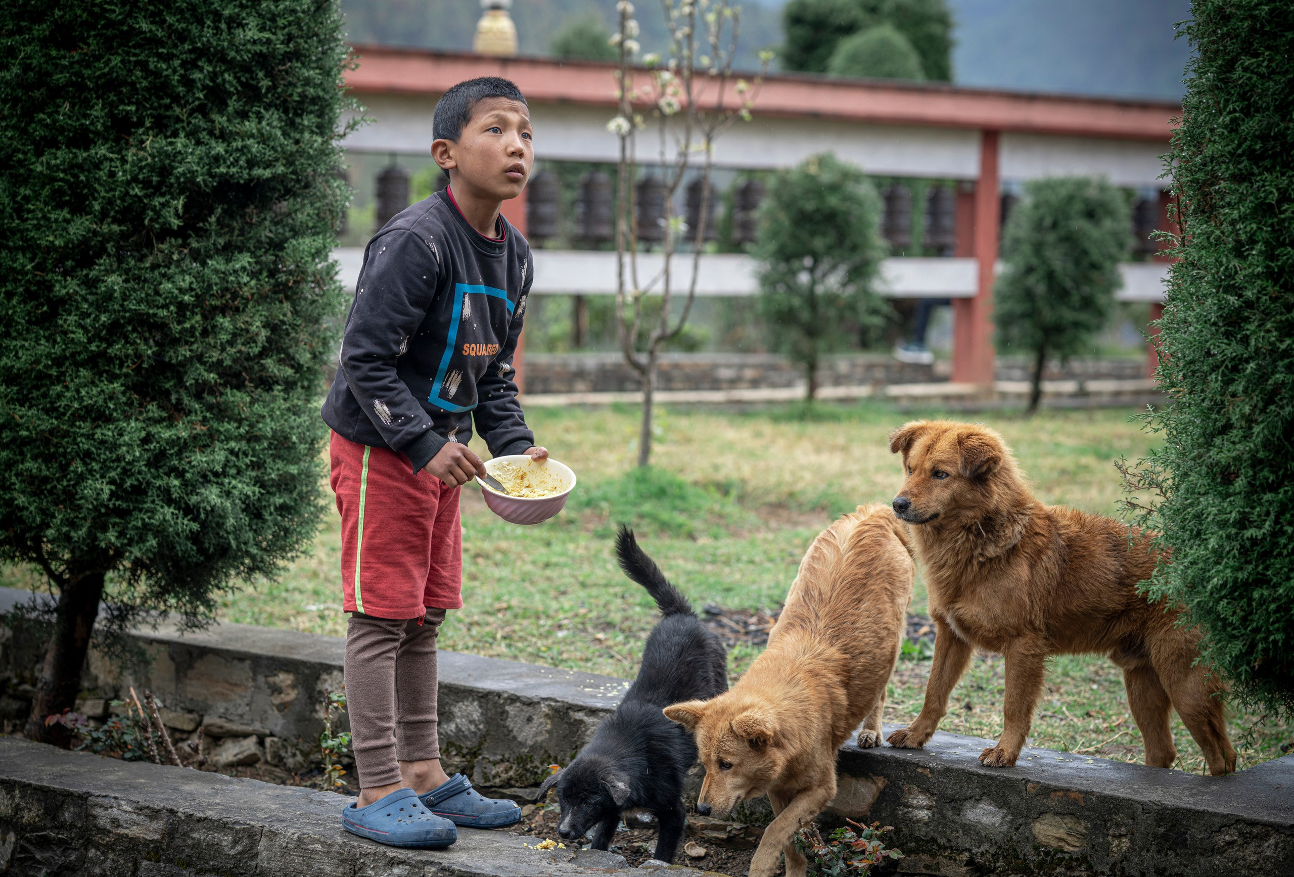India travel. Фотограф Сергей Танков