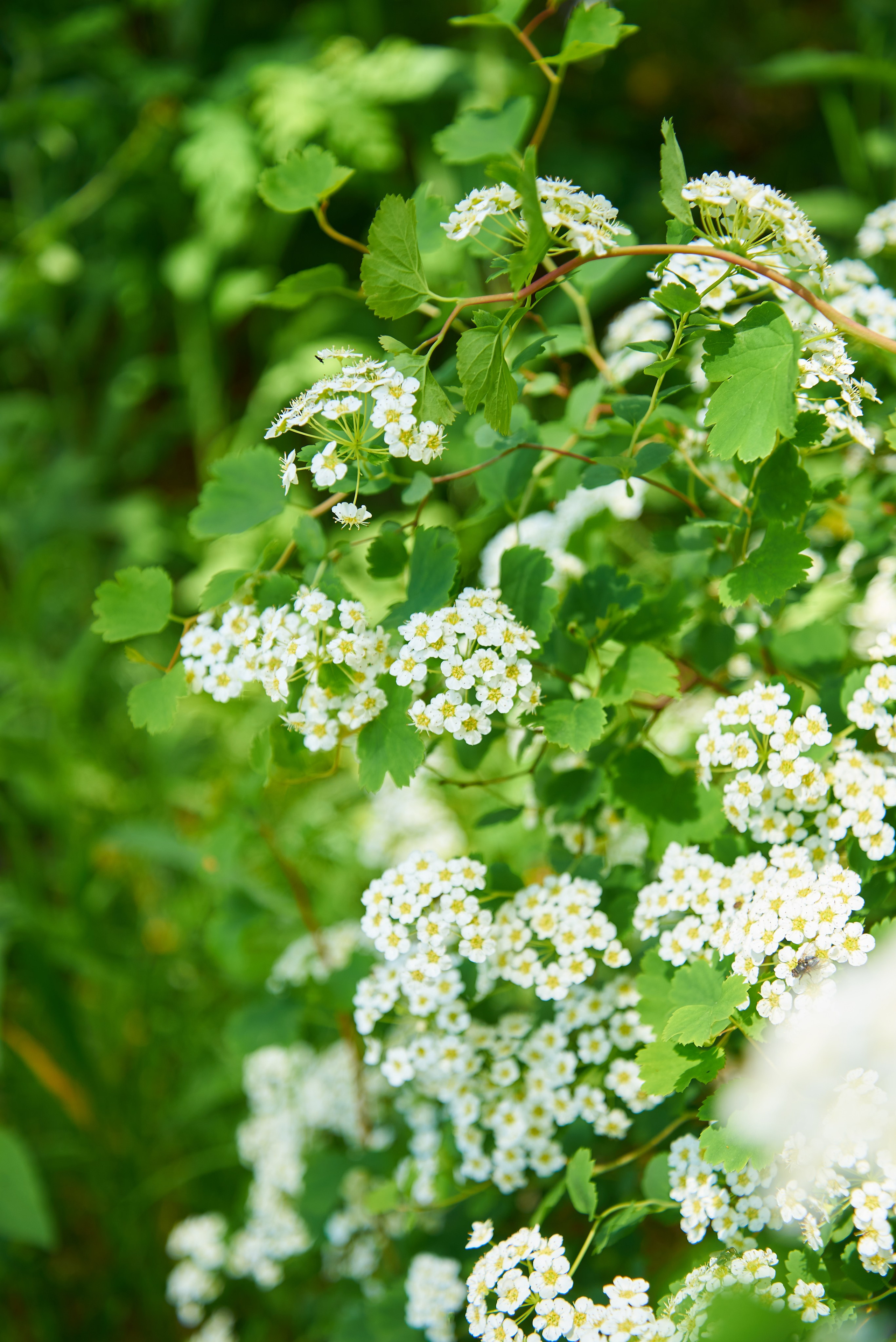 База отдыха «Лунный свет» Узнезя. Семейный фотограф в Барнауле, Горный Алтай, Заринск, Алейск