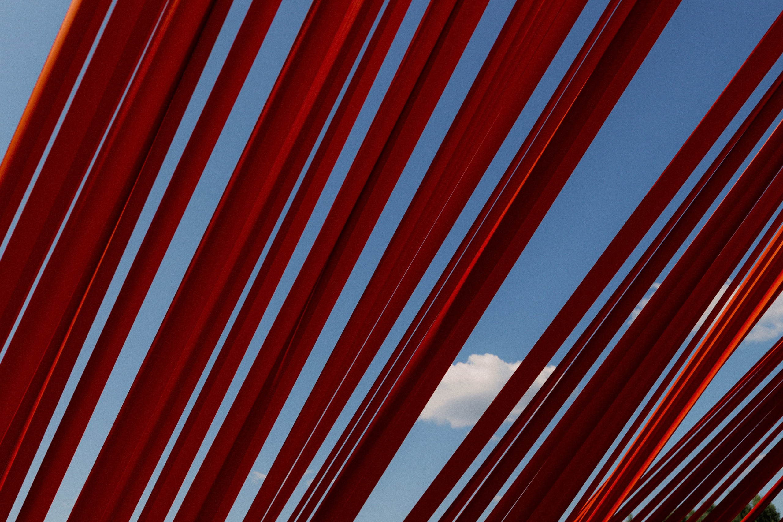 Рождение Венеры. Фотограф Serj Ganso