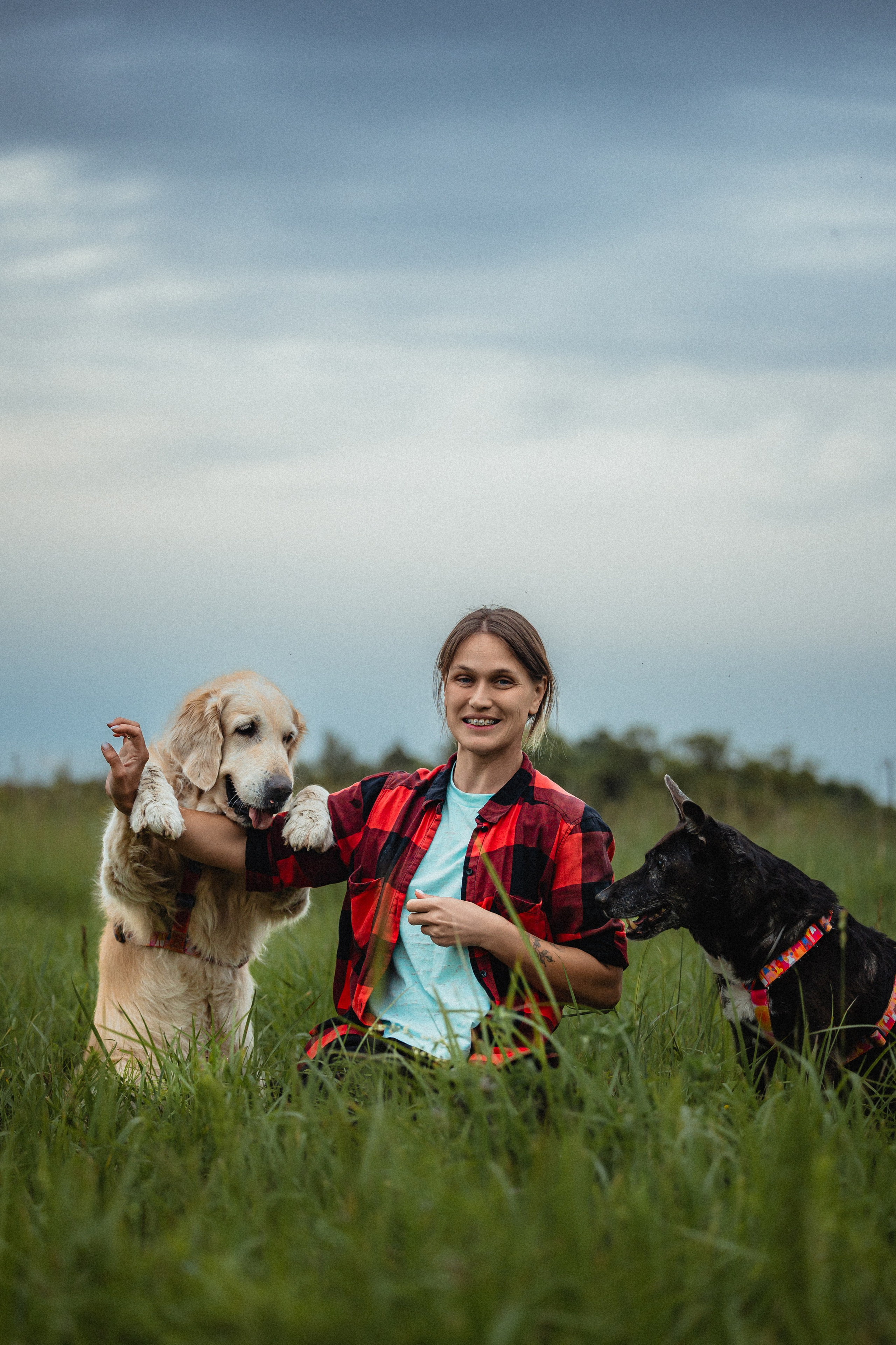 Выездной дог-тренинг от школы «Шерсть имею»
