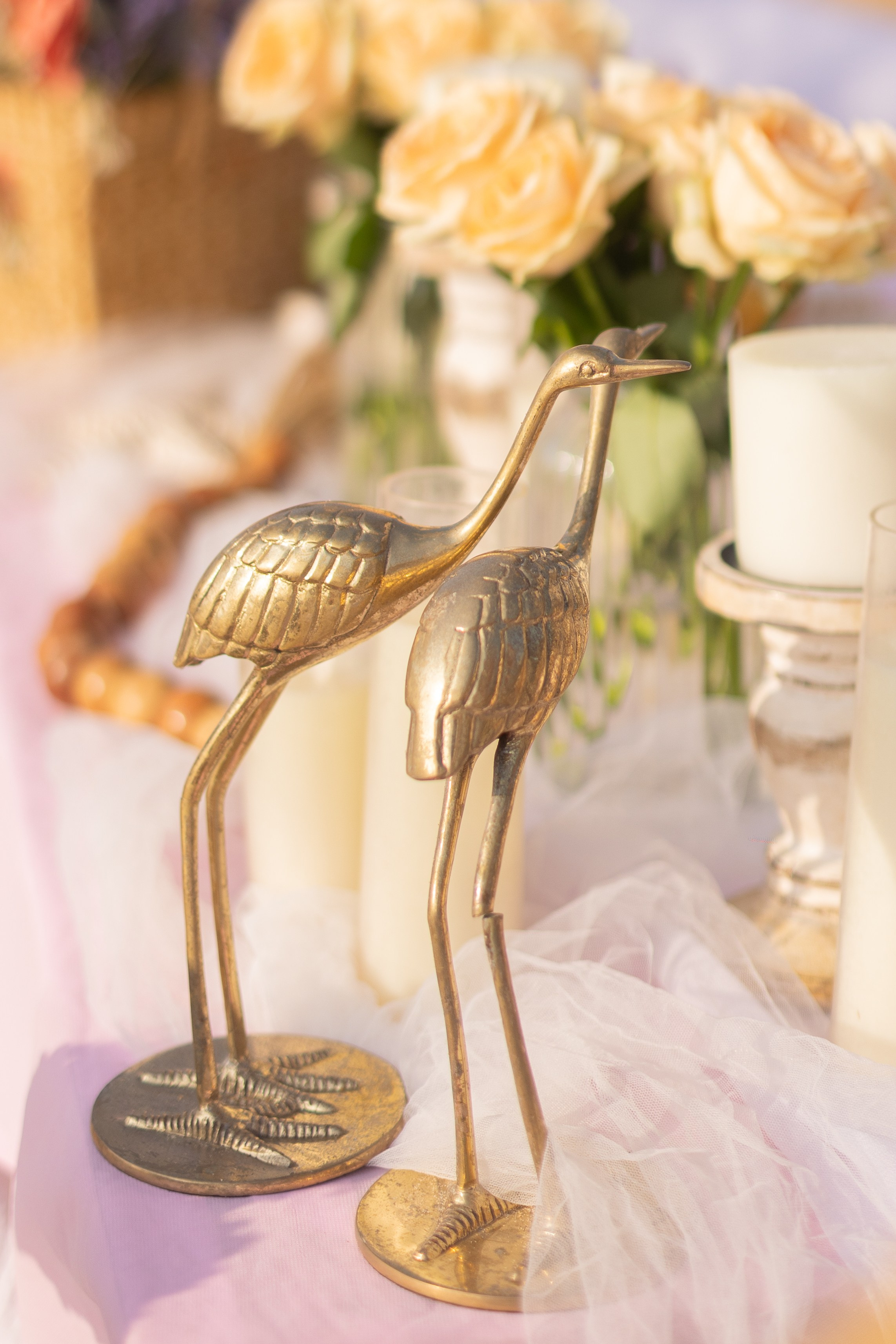 Marriage proposal. Свадебные видео