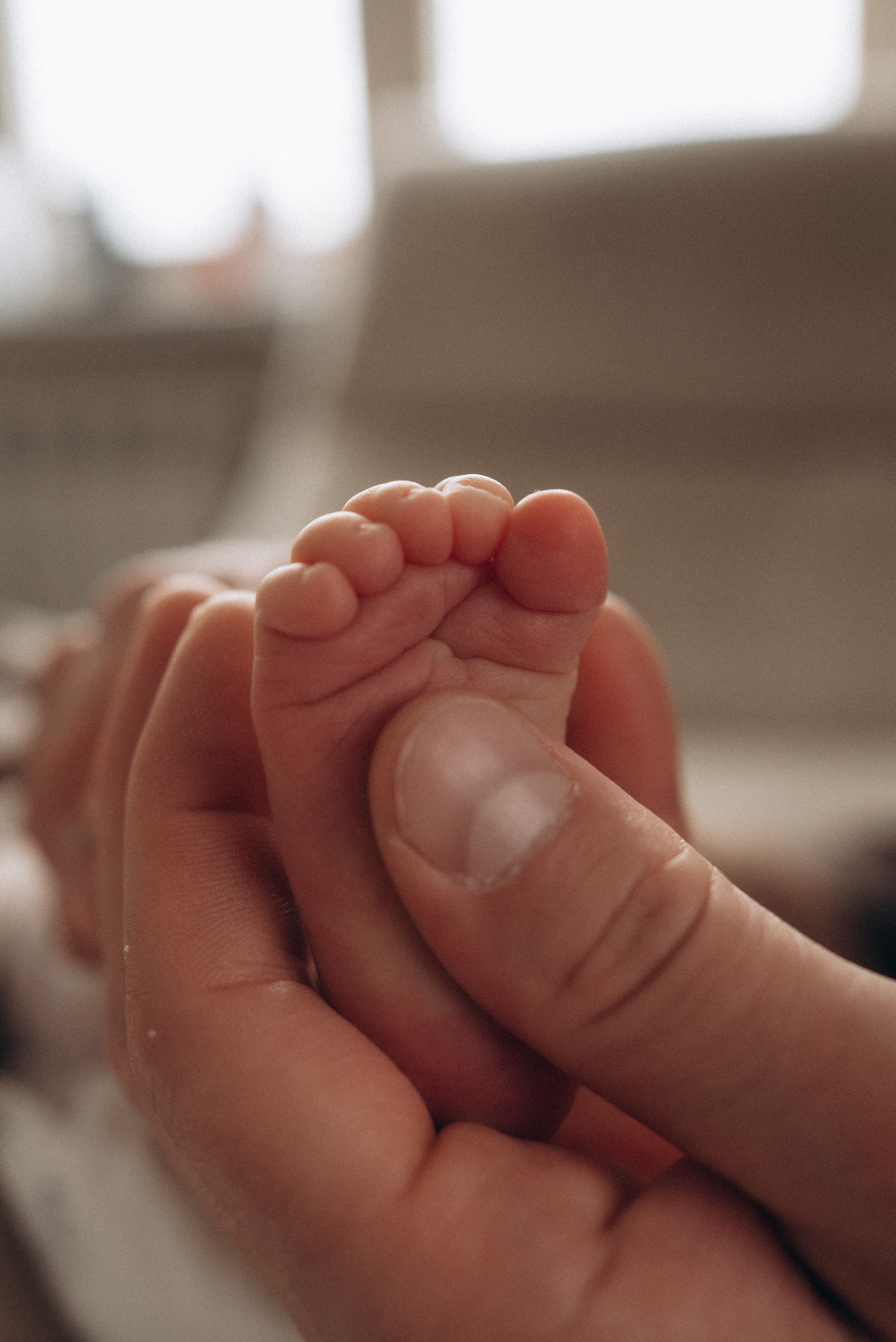 New born. Женский и семейный фотограф в Москве и Красногорске Светлана Левченко