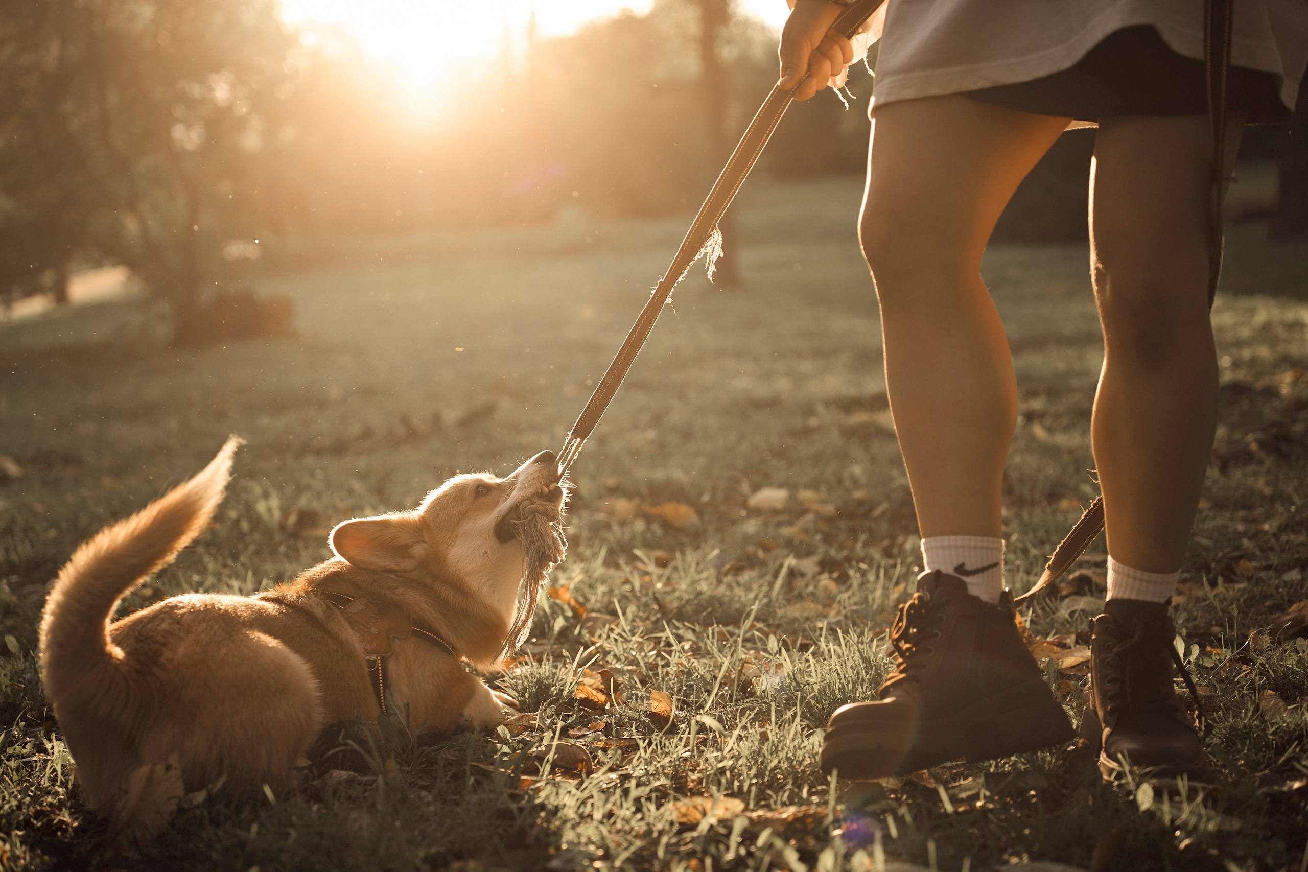 Марина. Ваш фотограф Анастасия Болотникова