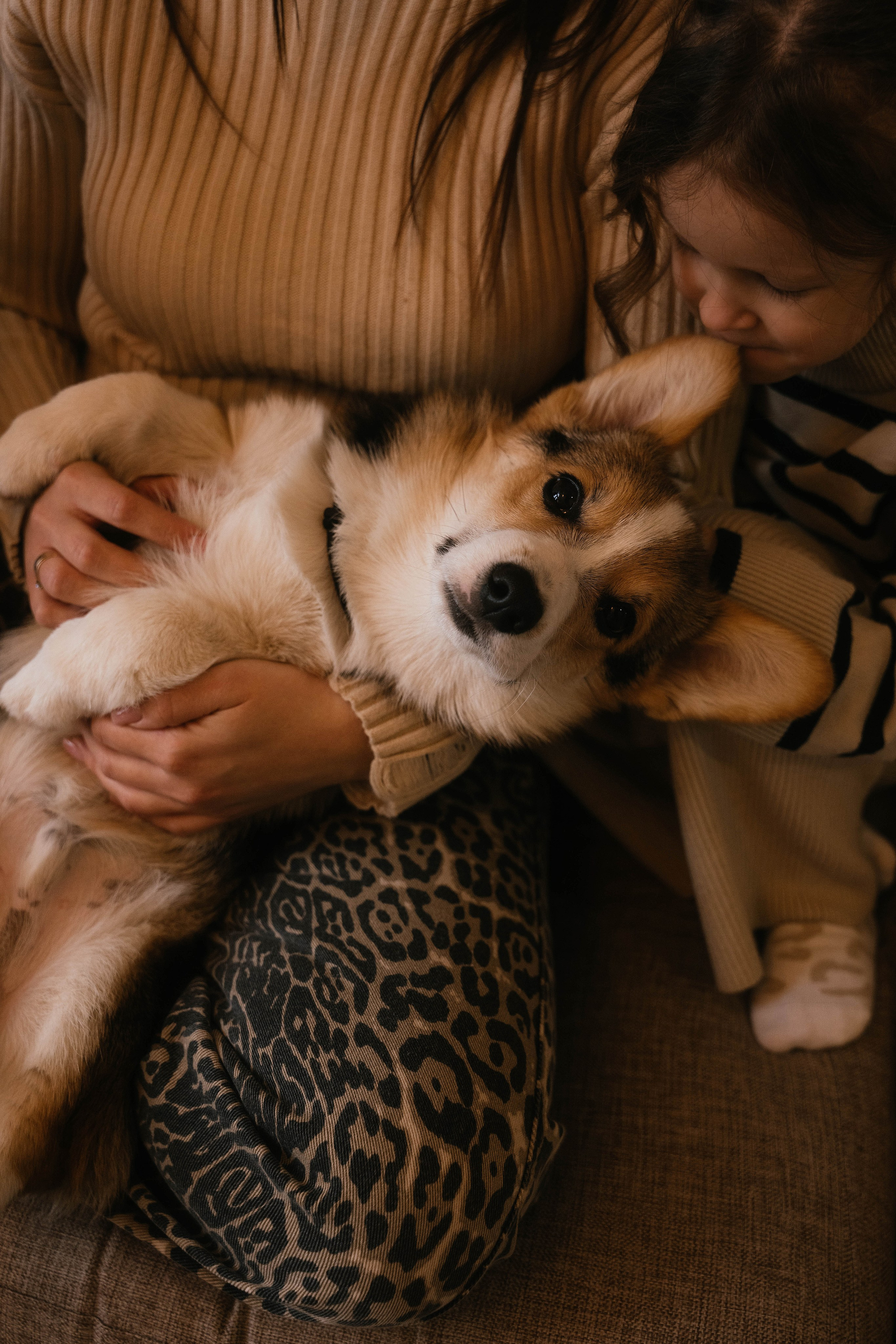 Вика, Коля, Лера, Ева и Вестар. Свадебный, семейный фотограф в Рязани Лена Брант