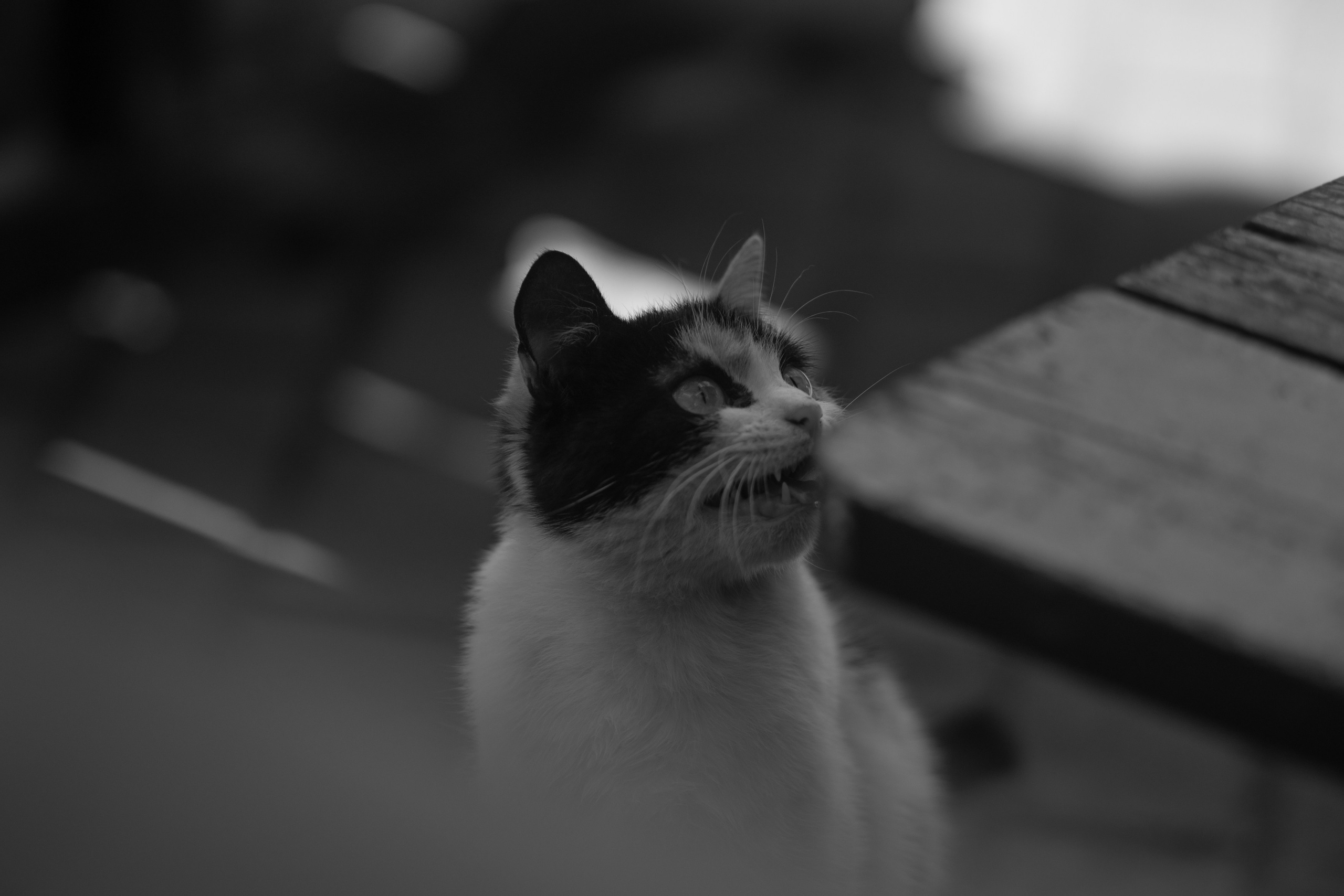 ЧБ. Фотограф в Москве — Георгий Чернышов