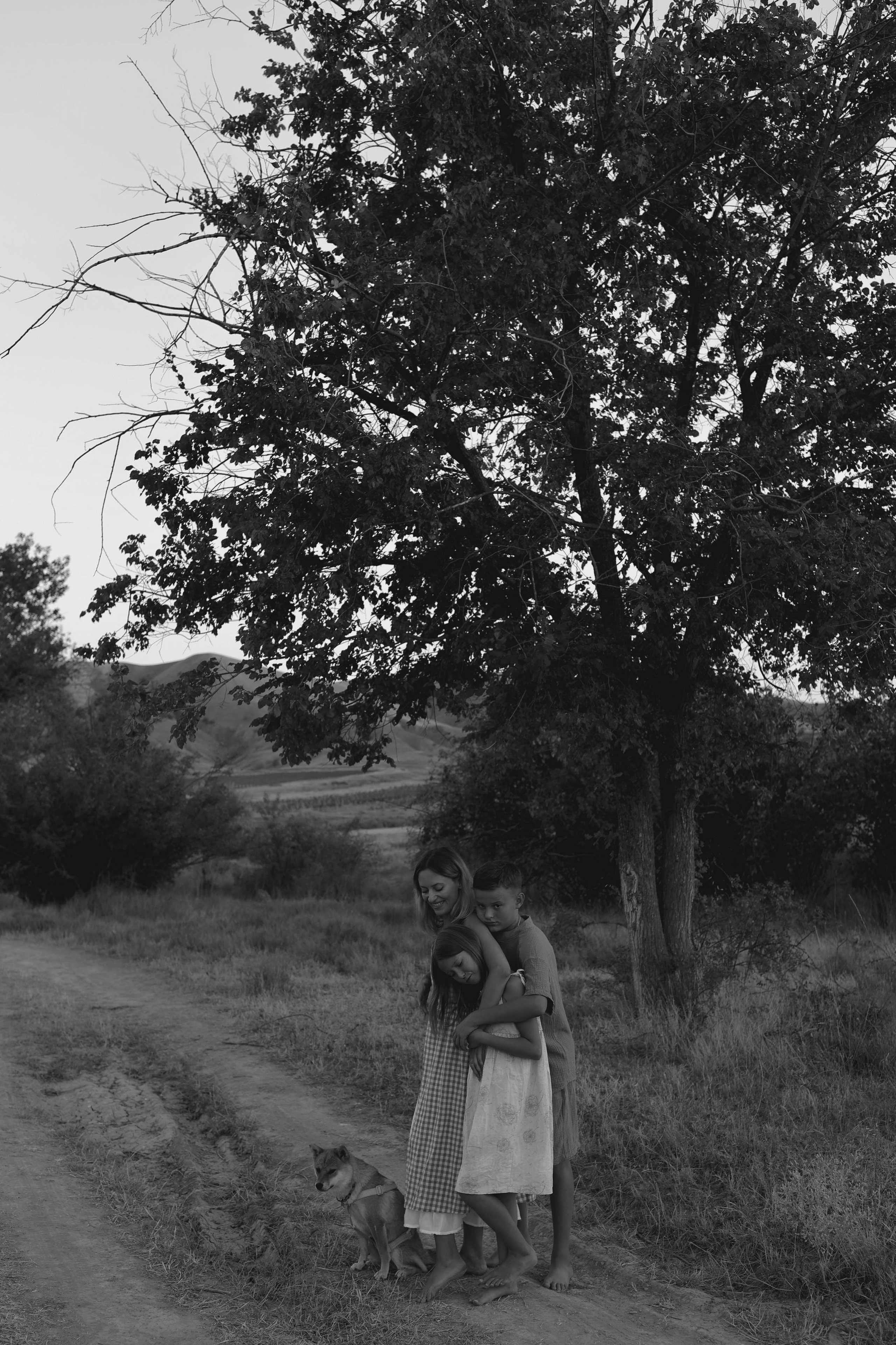 Один день из жизни Пуси. Свадебный и семейный фотограф Судак, Крым, Симферополь, Феодосия, Коктебель и по России