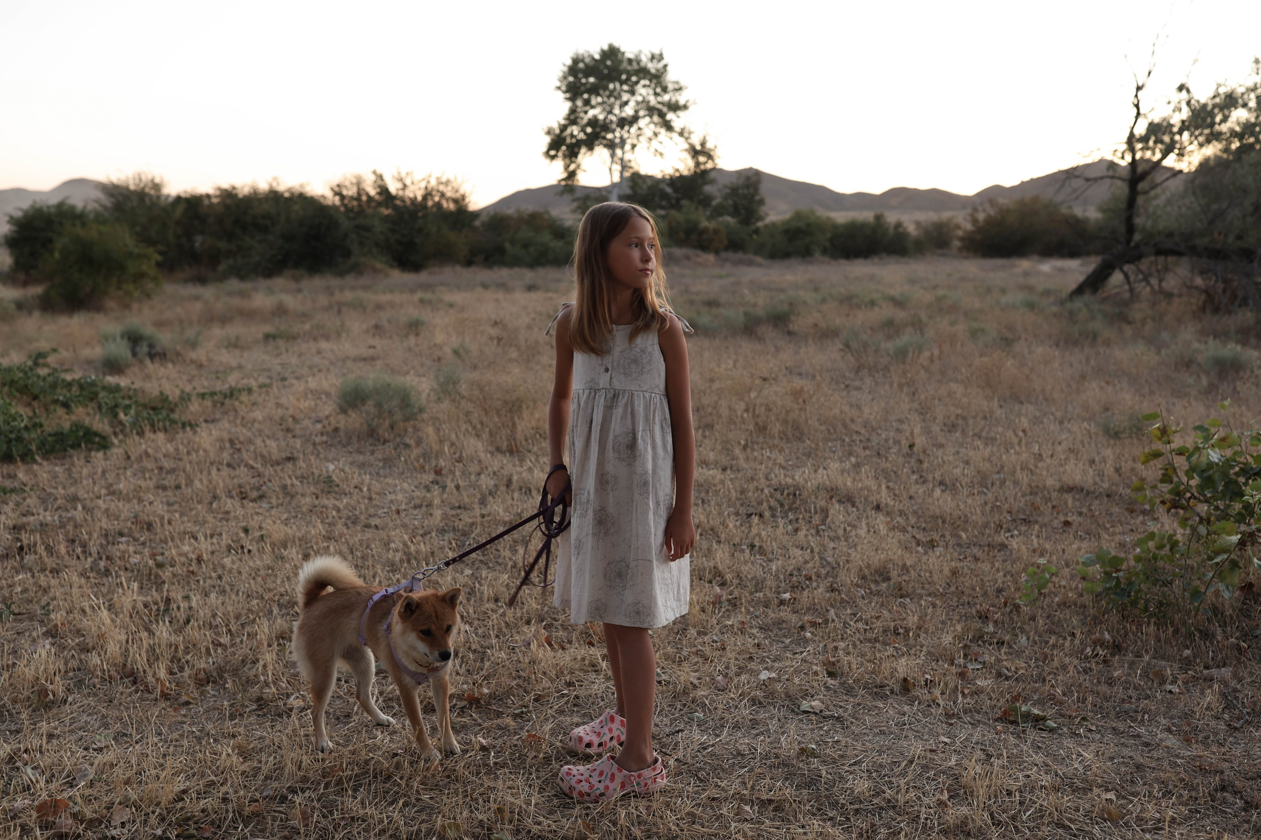 Один день из жизни Пуси. Свадебный и семейный фотограф Судак, Крым, Симферополь, Феодосия, Коктебель и по России