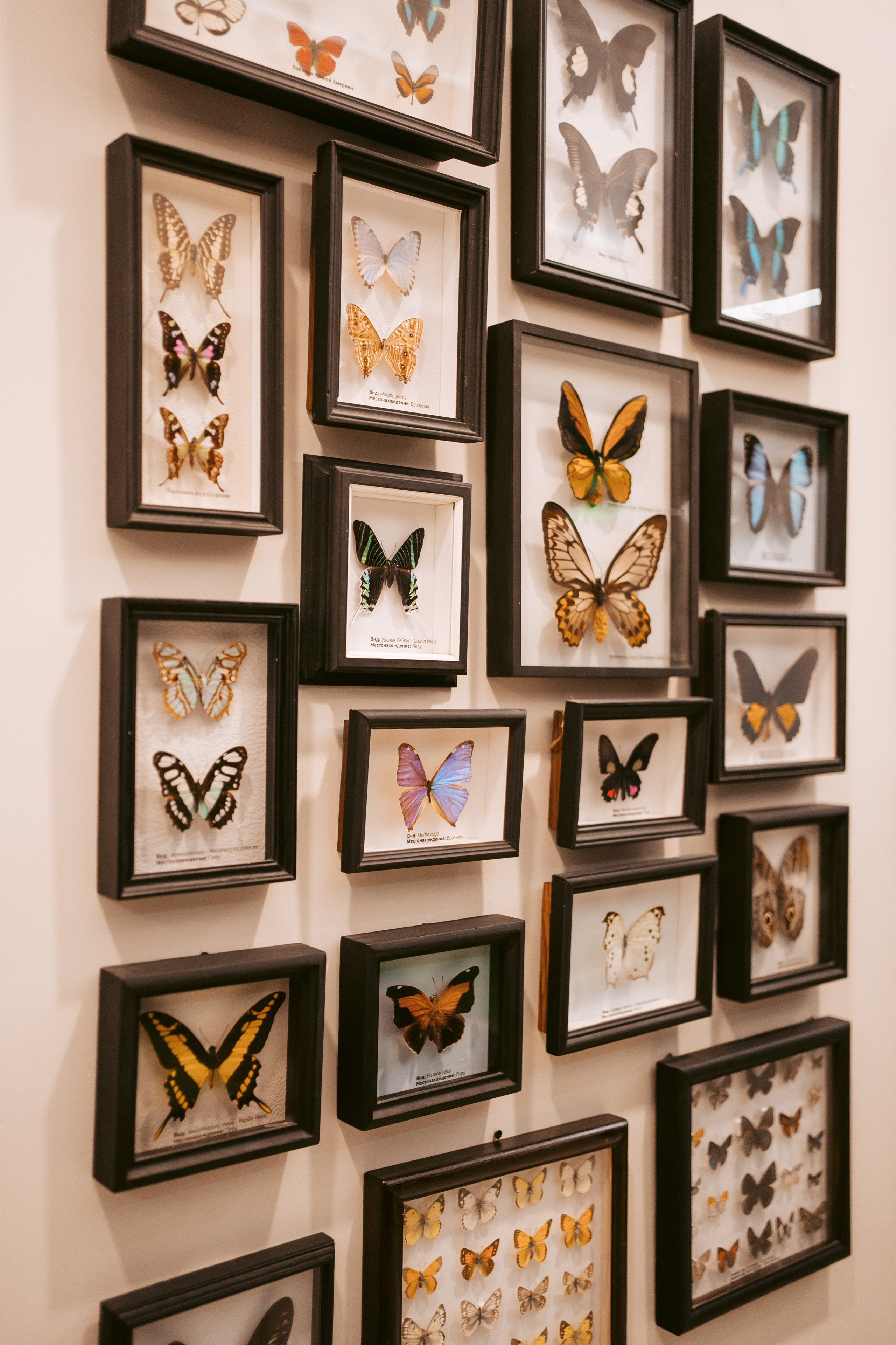 Ночь искусств 2023. Фотограф на любое событие в Кемерово