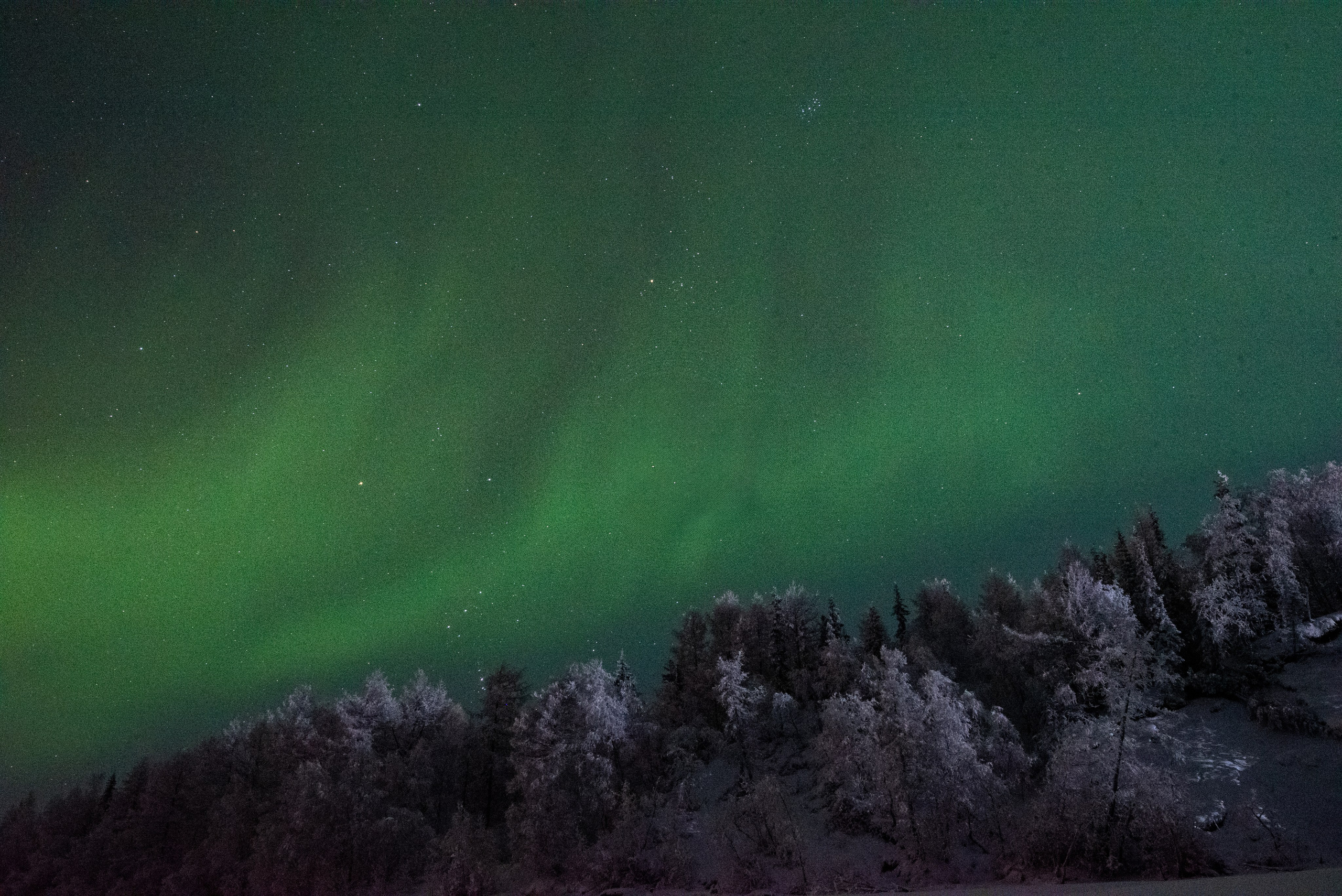 На полярном круге. Семейный и детский фотограф в Санкт-Петербурге Татьяна Дмитренко