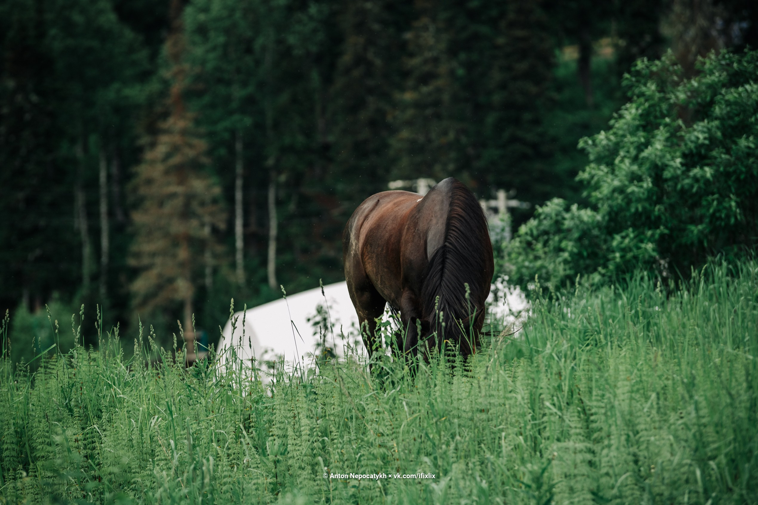 Фотографии Шерегеш. Антон Непочатых — Большой мужской фотограф