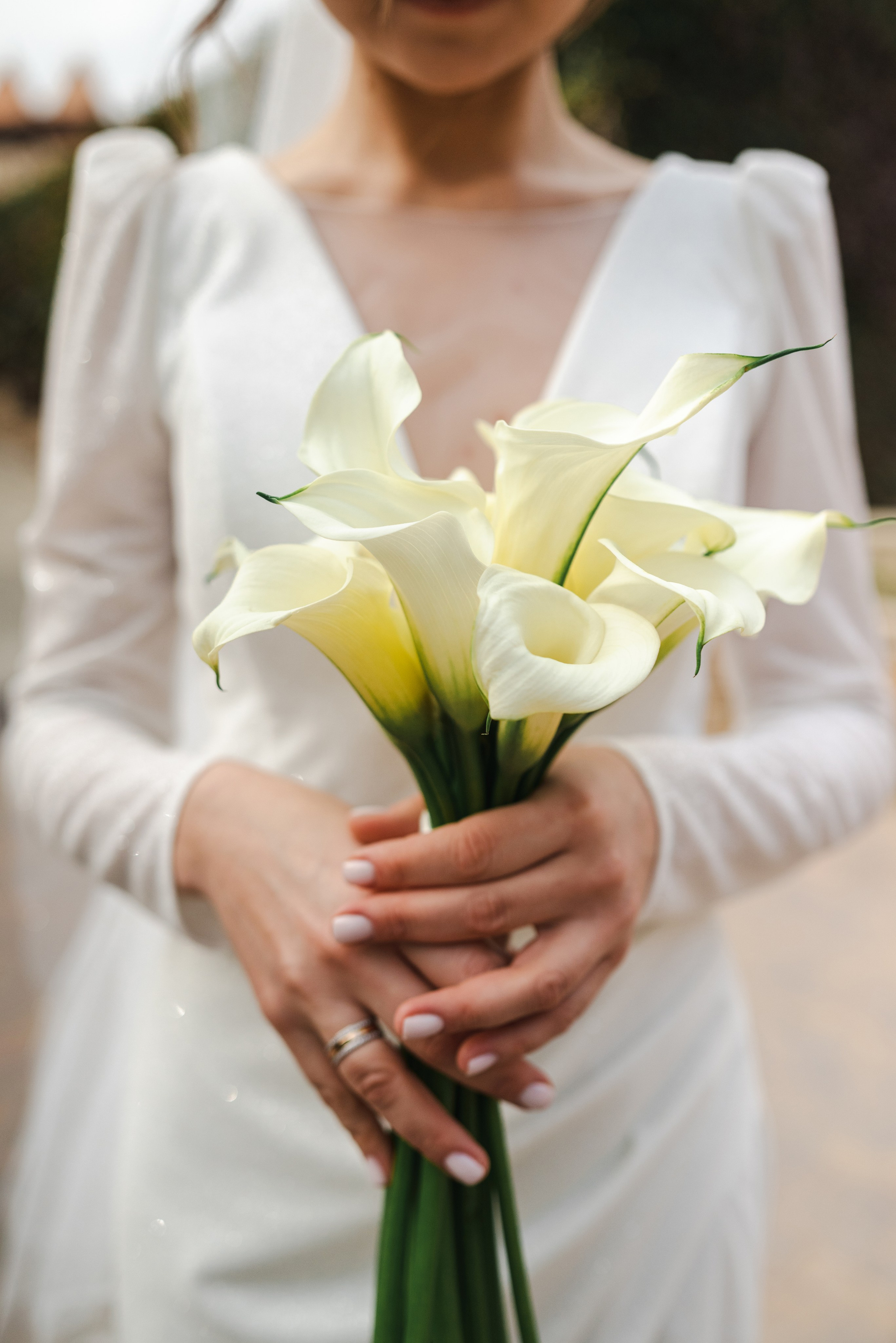 Свадебная фотосессия в Каменске-Шахтинском парке Лога. Фотограф в Каменске-Шахтинском Ольга Сагал