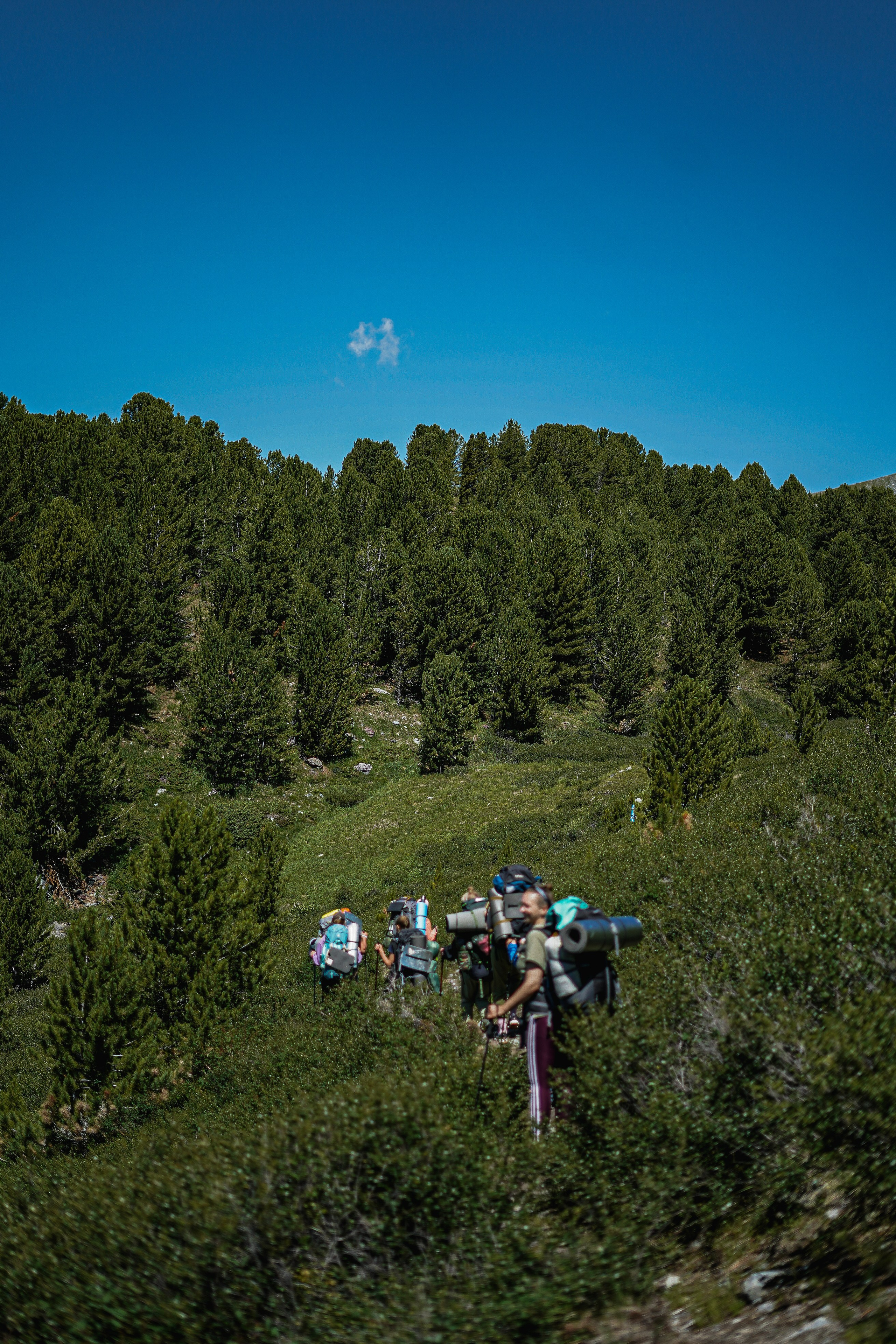 Алтай, поход к Белухе 2023. Фотограф Ольга Пучкова