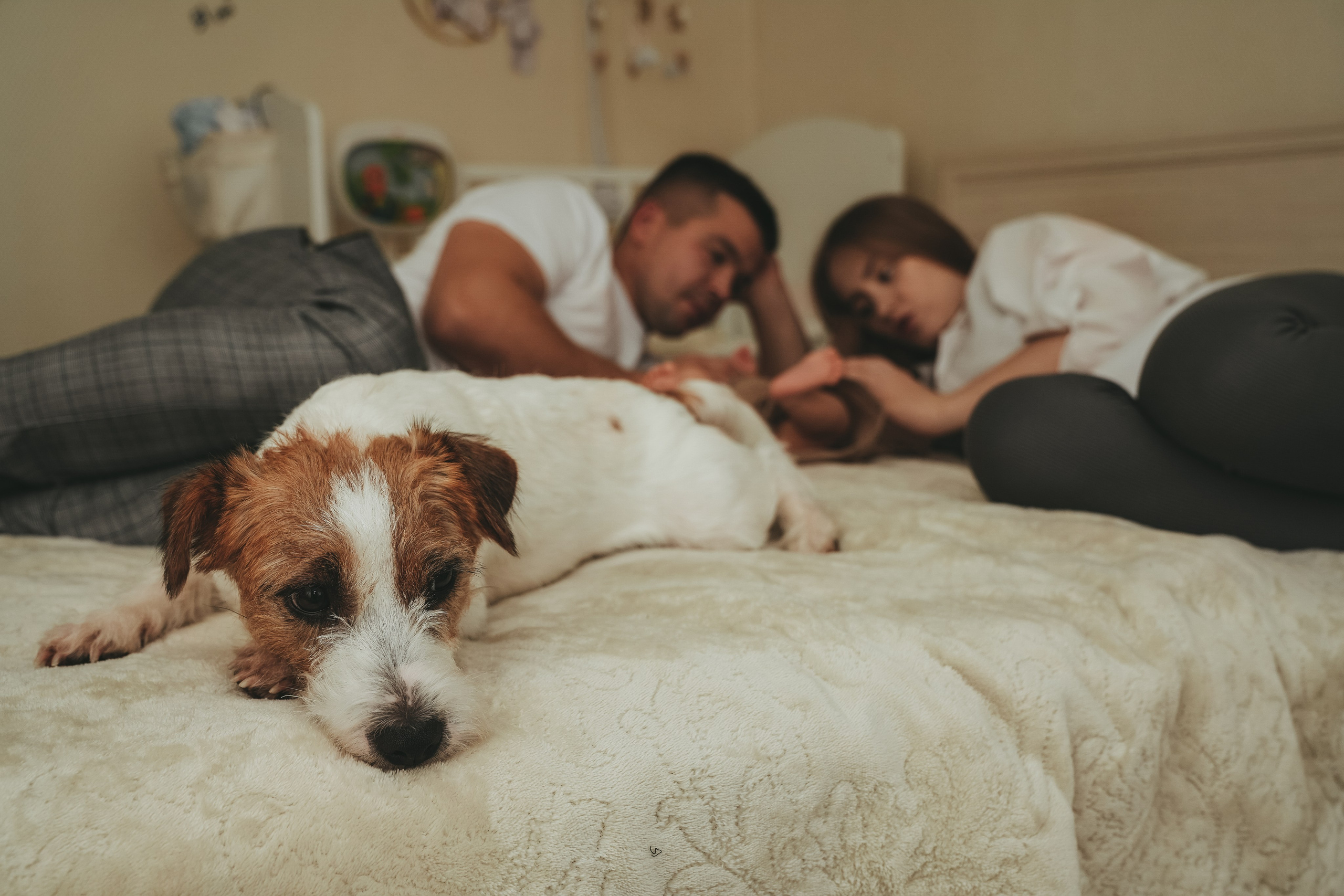 Иван, Мария, Илюша и Майло. Семейный и детский фотограф Плесецк, Мирный Марина Забабурина