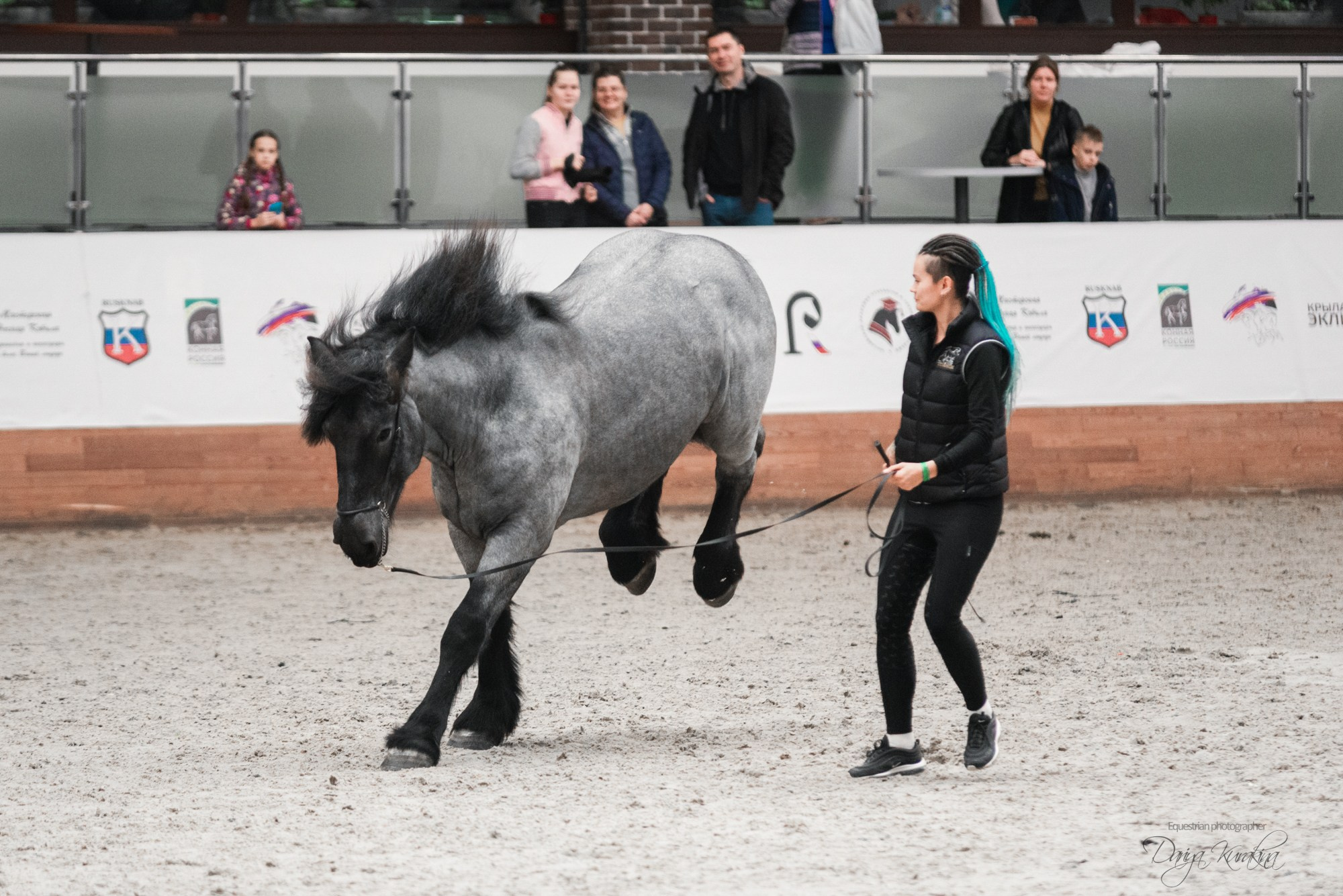 8-я международная выставка Конная Россия. Конный фотограф Куракина Дарья • Фотосессии с лошадьми