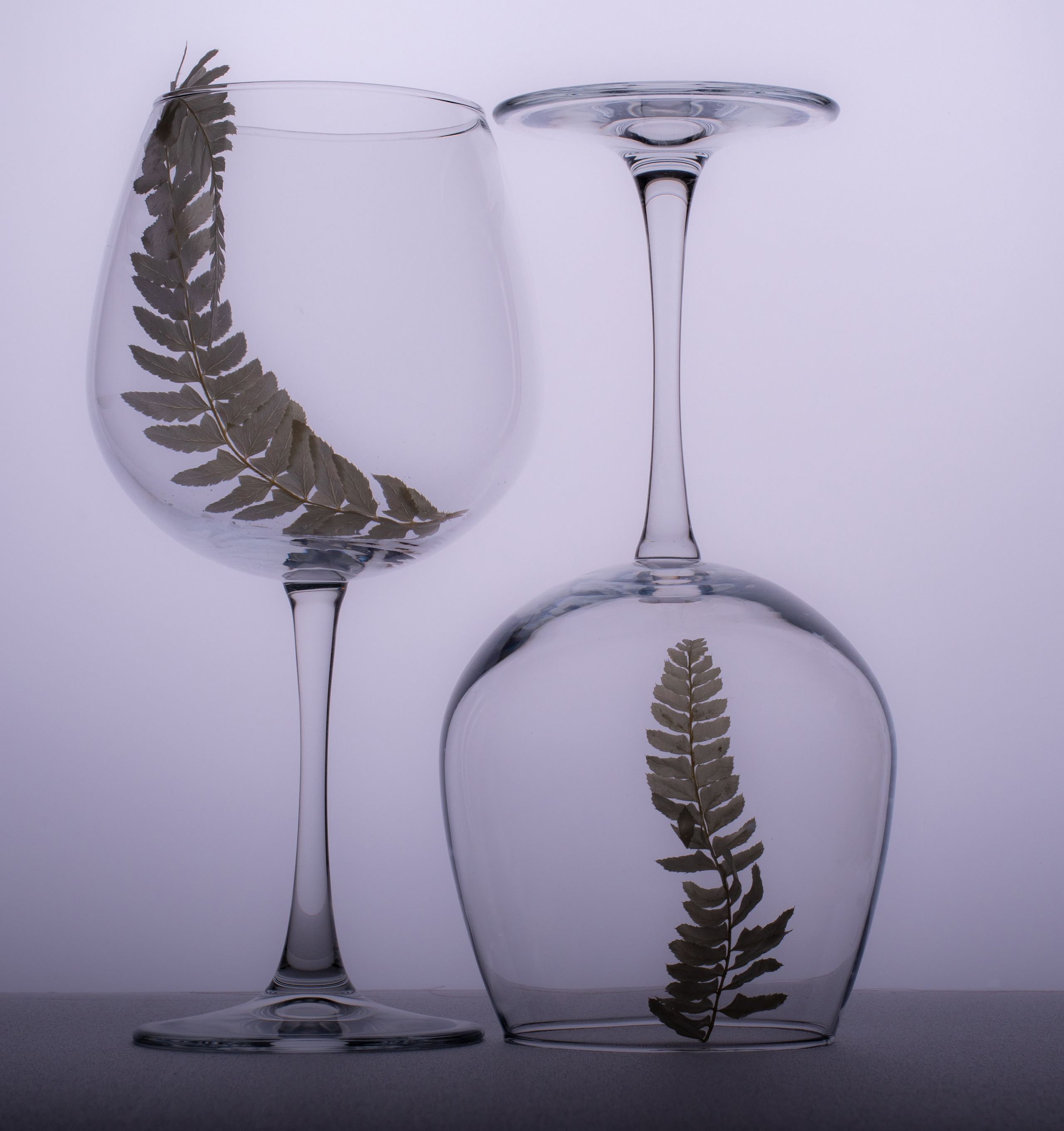 Стеклянные предметы. Предметный, рекламный, ювелирный фотограф в Москве