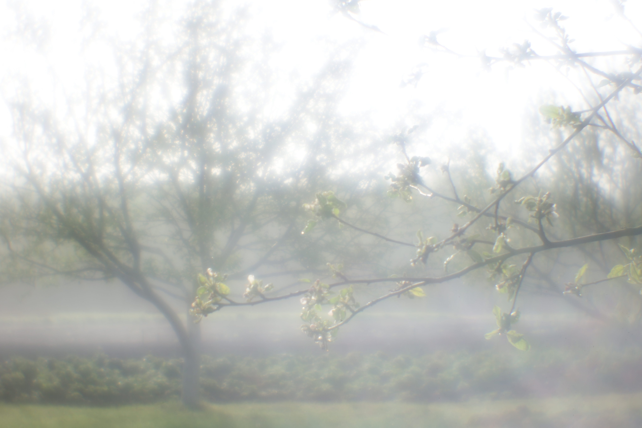 Поэзия повседневности. Семейный фотограф в Москве Марина Аргунова