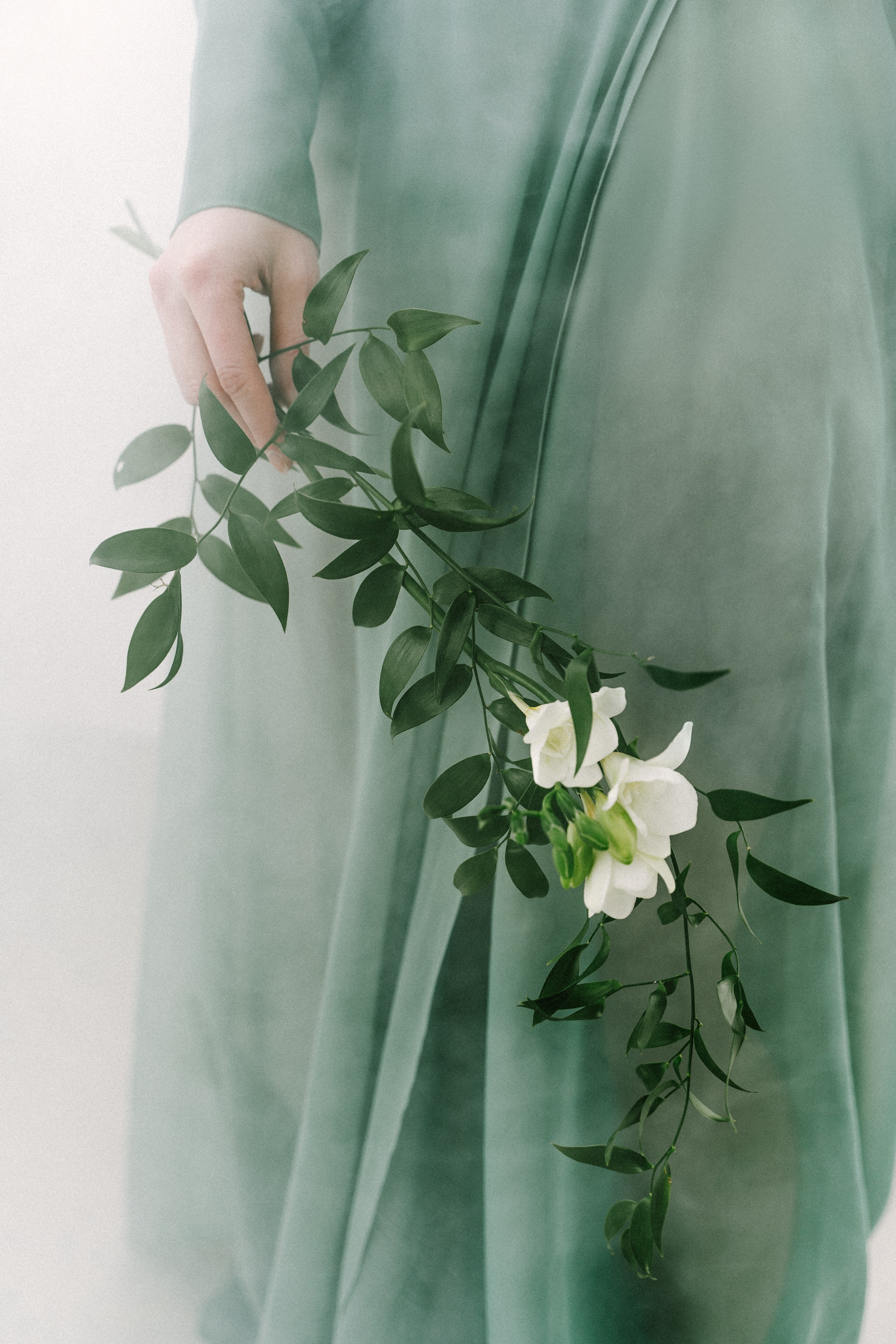 Tenderness of spring