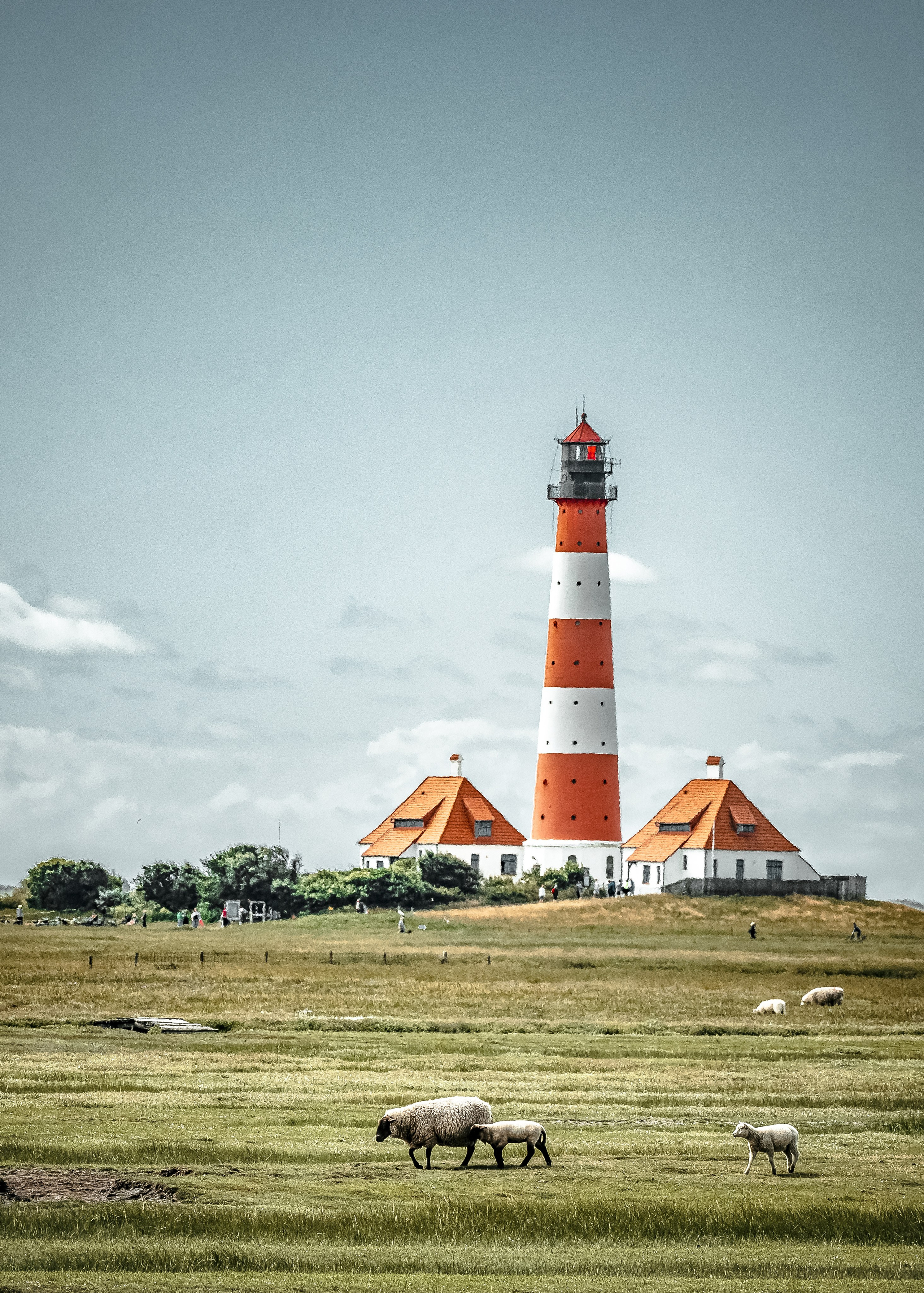 TRAVEL&NATURE. NE Cinema — backstage and reportage photography in cinema, music, Automotive and sport