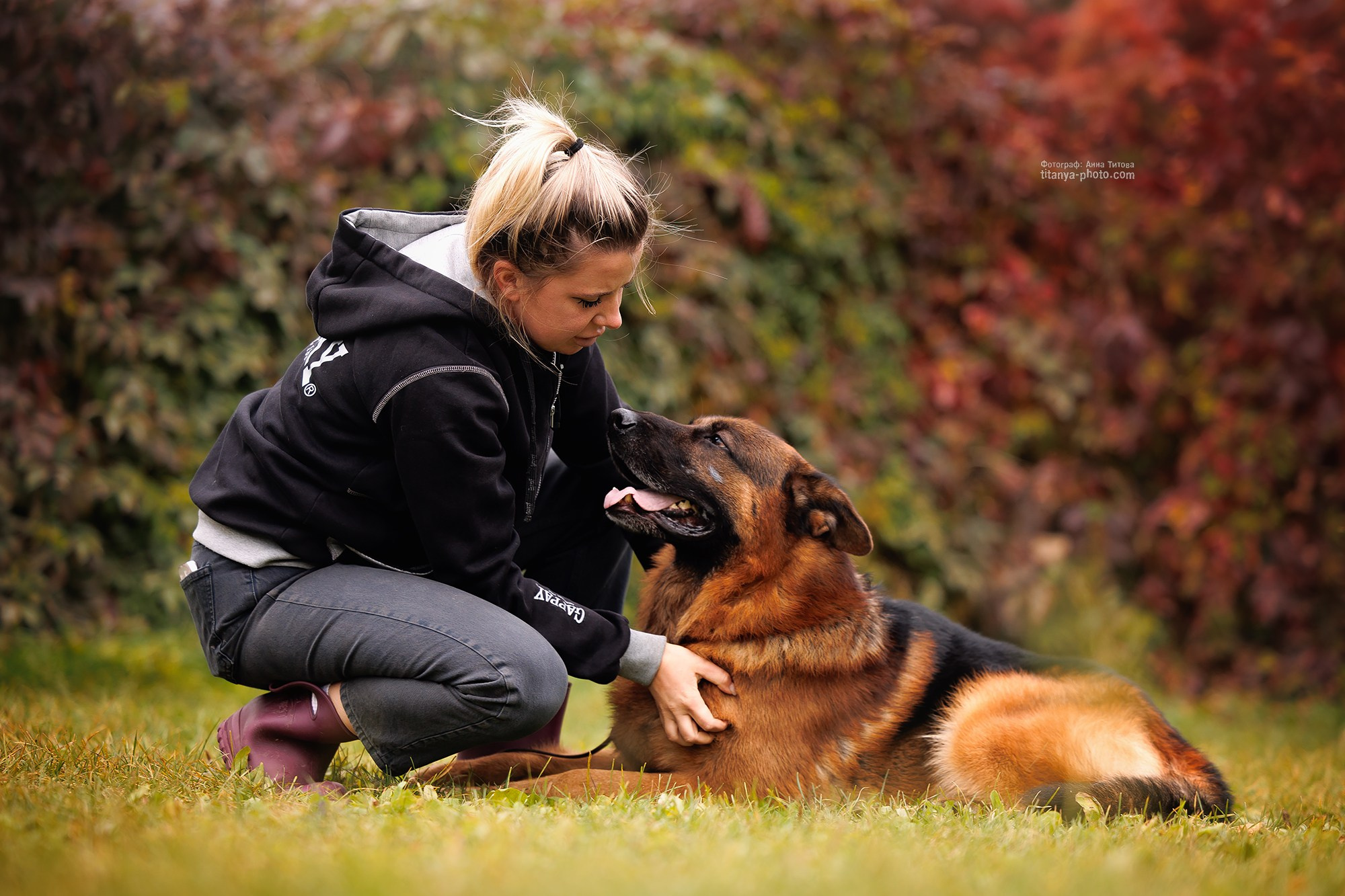 Rubio vom Grafenbrunn. Фотограф собак, фотограф-анималист Аня Титова (Titanya). Москва