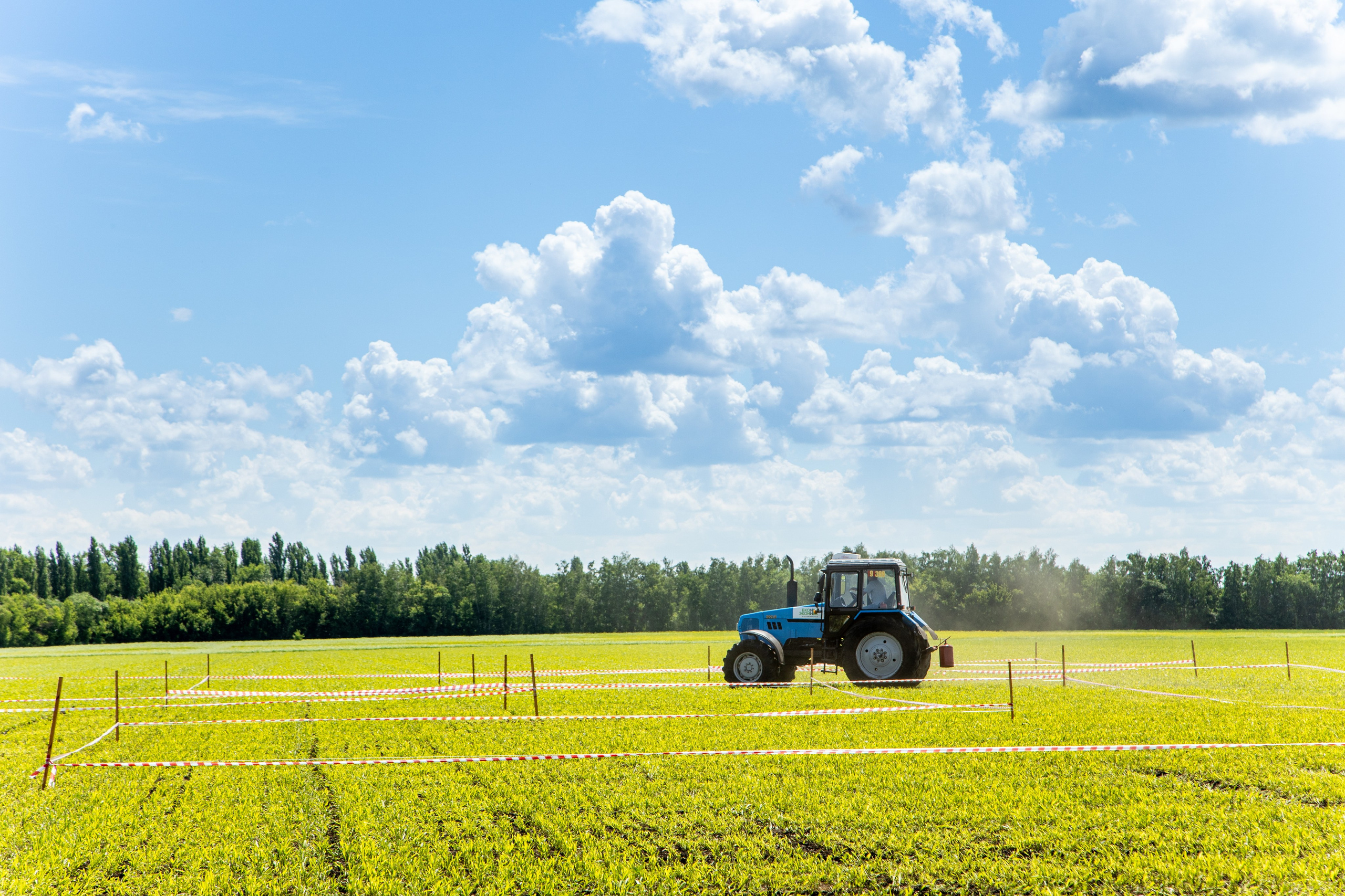 День Поля 2022. Владислав Волков | Фотография и видеосъемка в Воронеже