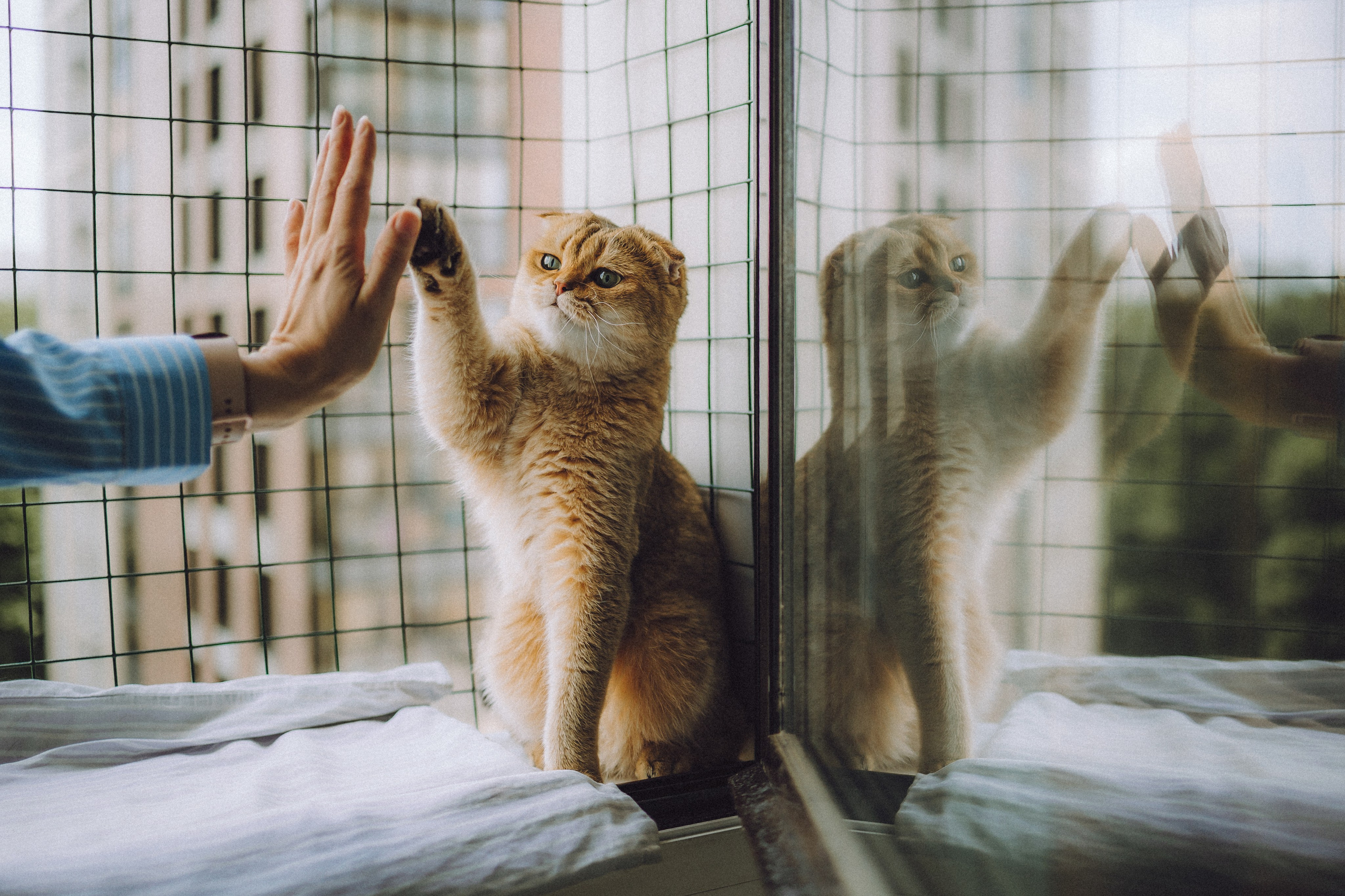 Генри и его семья