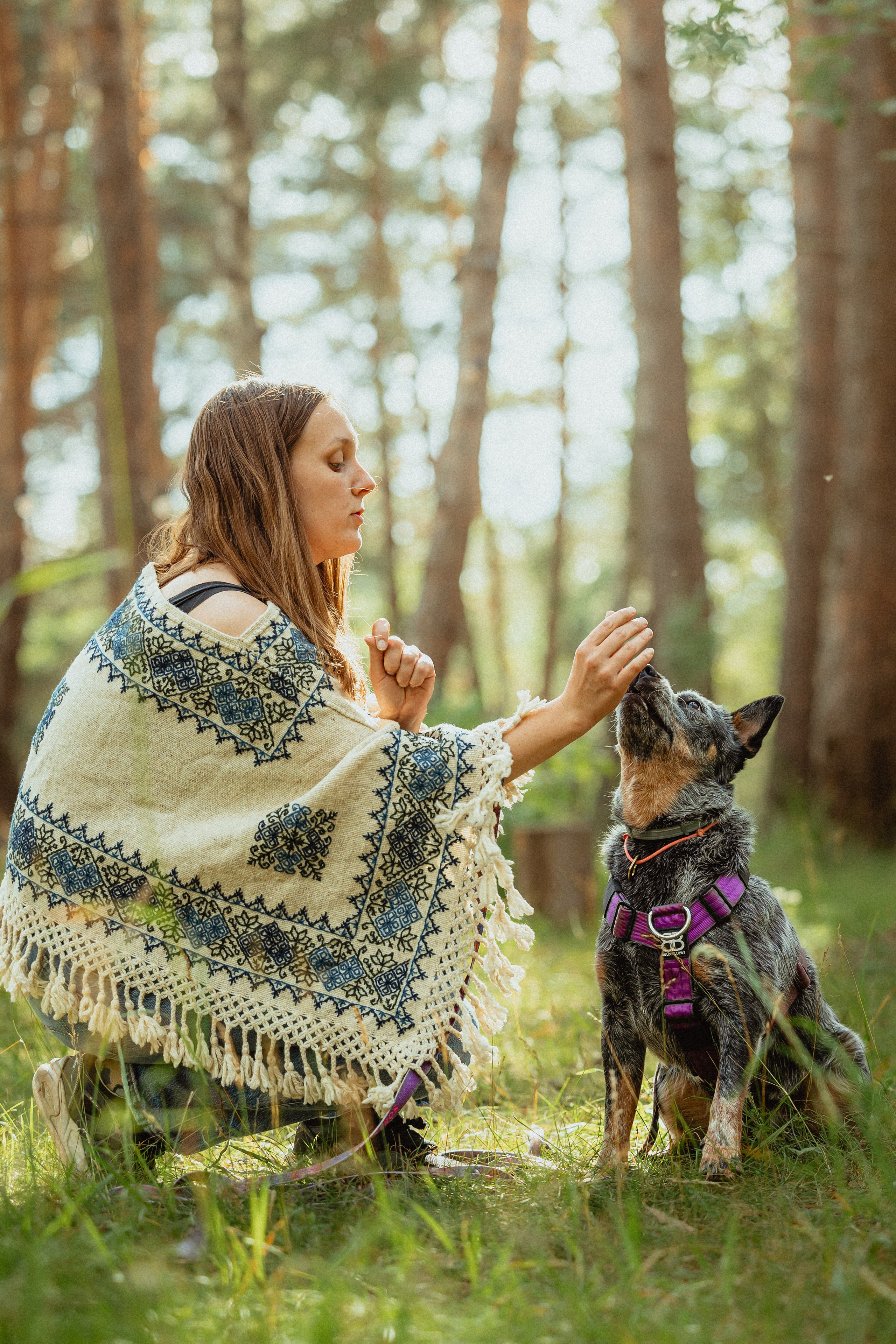 Выездной дог-тренинг от школы «Шерсть имею»