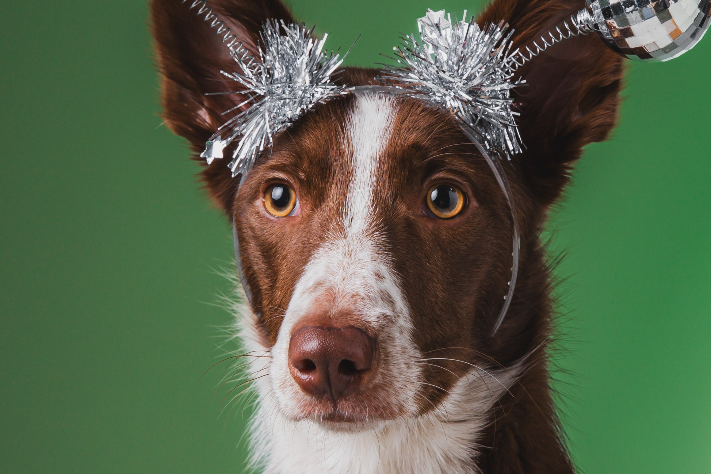Воркшоп по импульсному свету