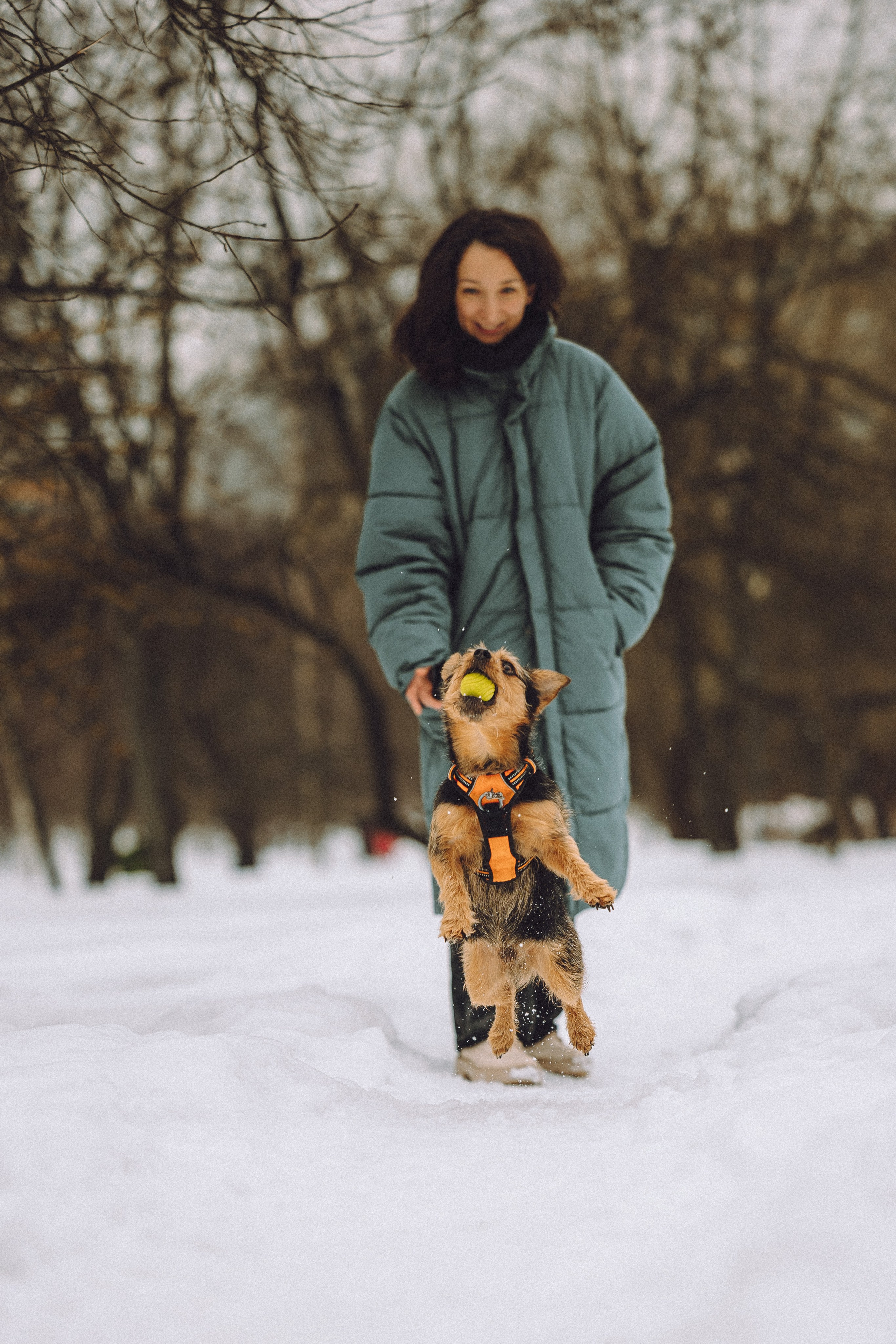 Инна и Чуви. Семейный фотограф животных, анималист в Москве Екатерина Киреева