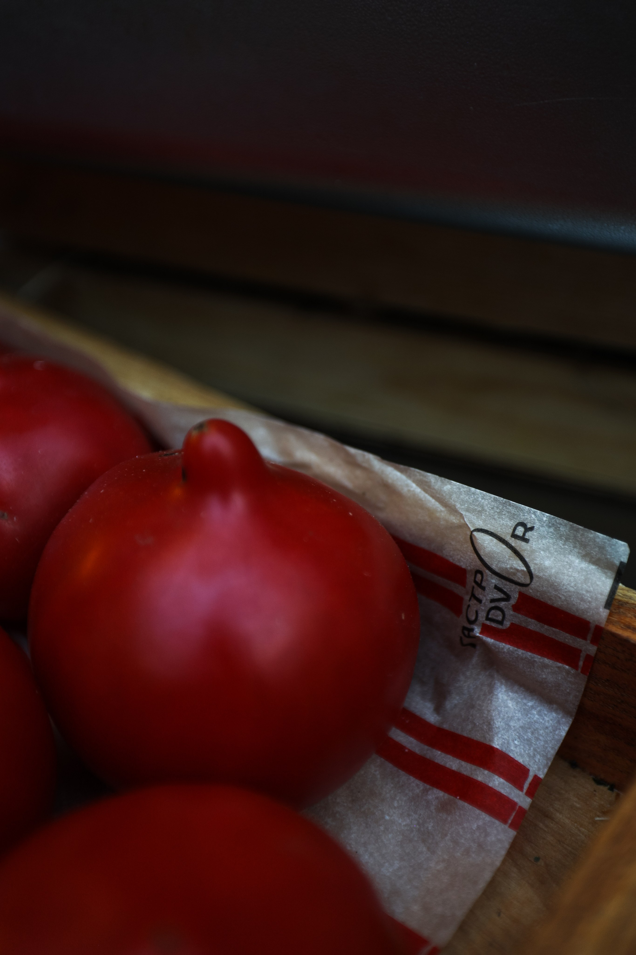 Gastrodvor «Диалог с Чеховым». Дженбаз Павел — фотограф в Ялте