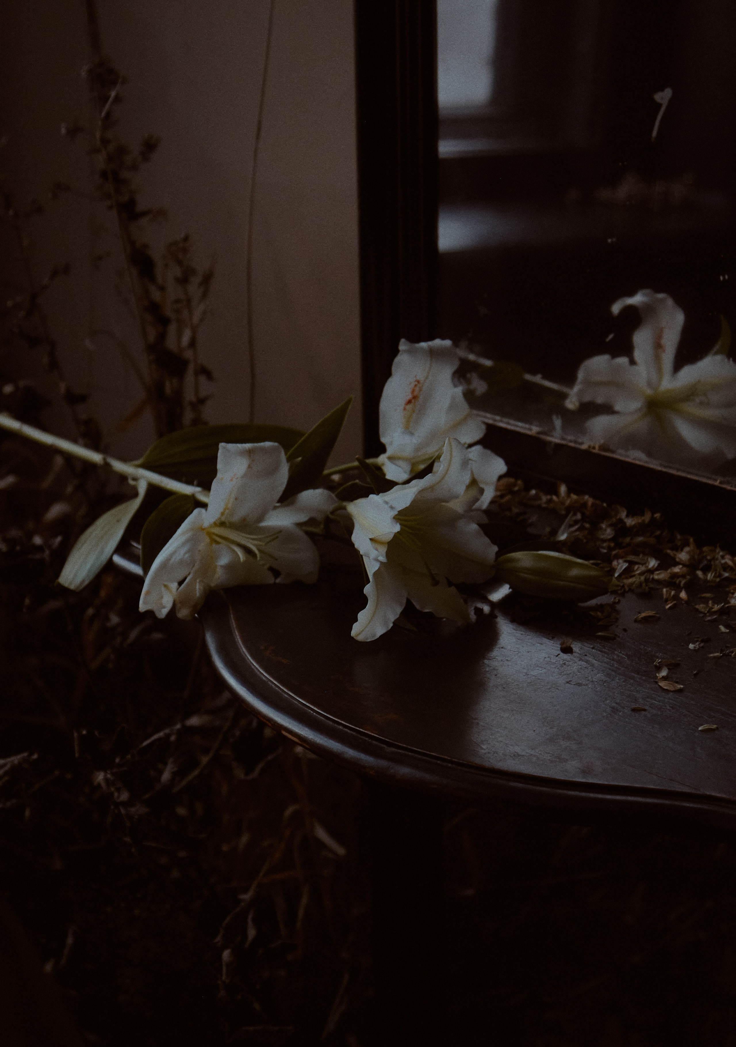 Сила. Фотограф лавстори Москва/МО Приятелева Ангелина