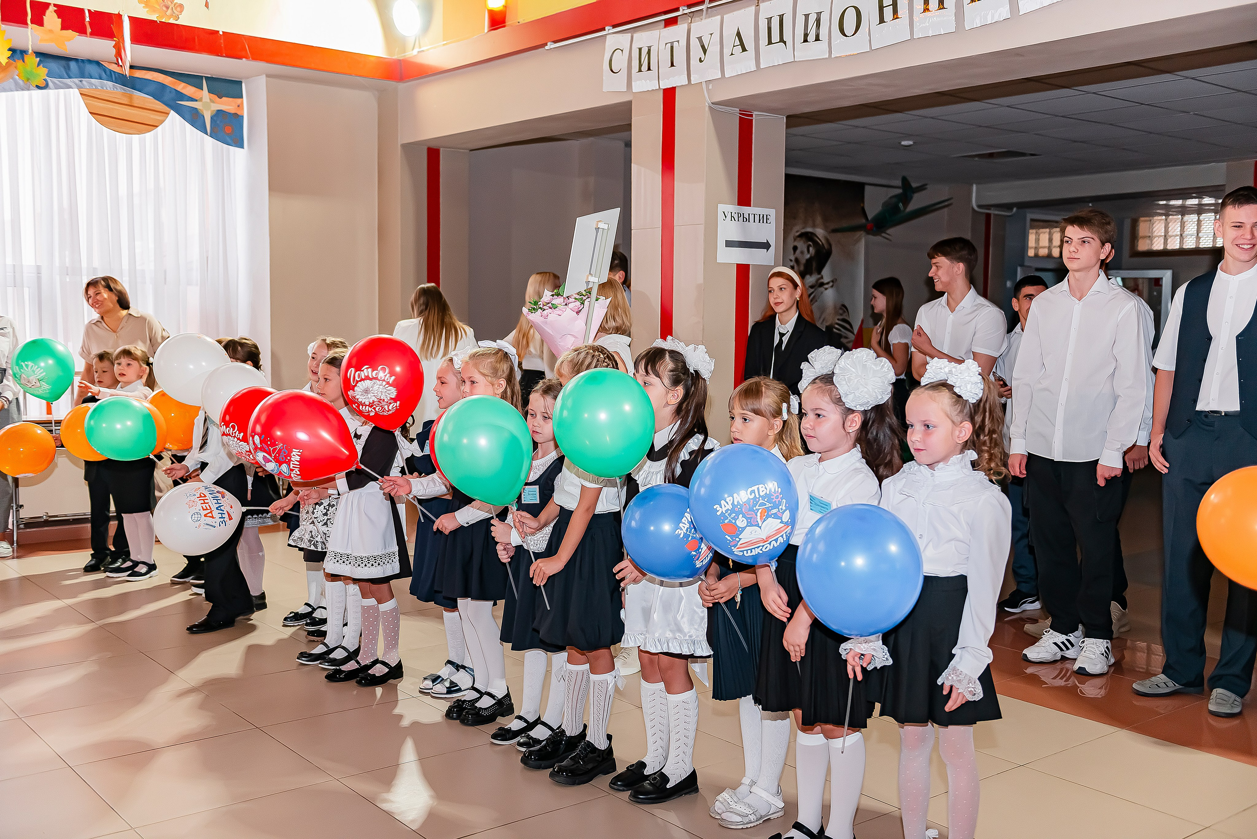 1 «В» | Гимназия № 3| г. Белгород |2024. ALBUMIA