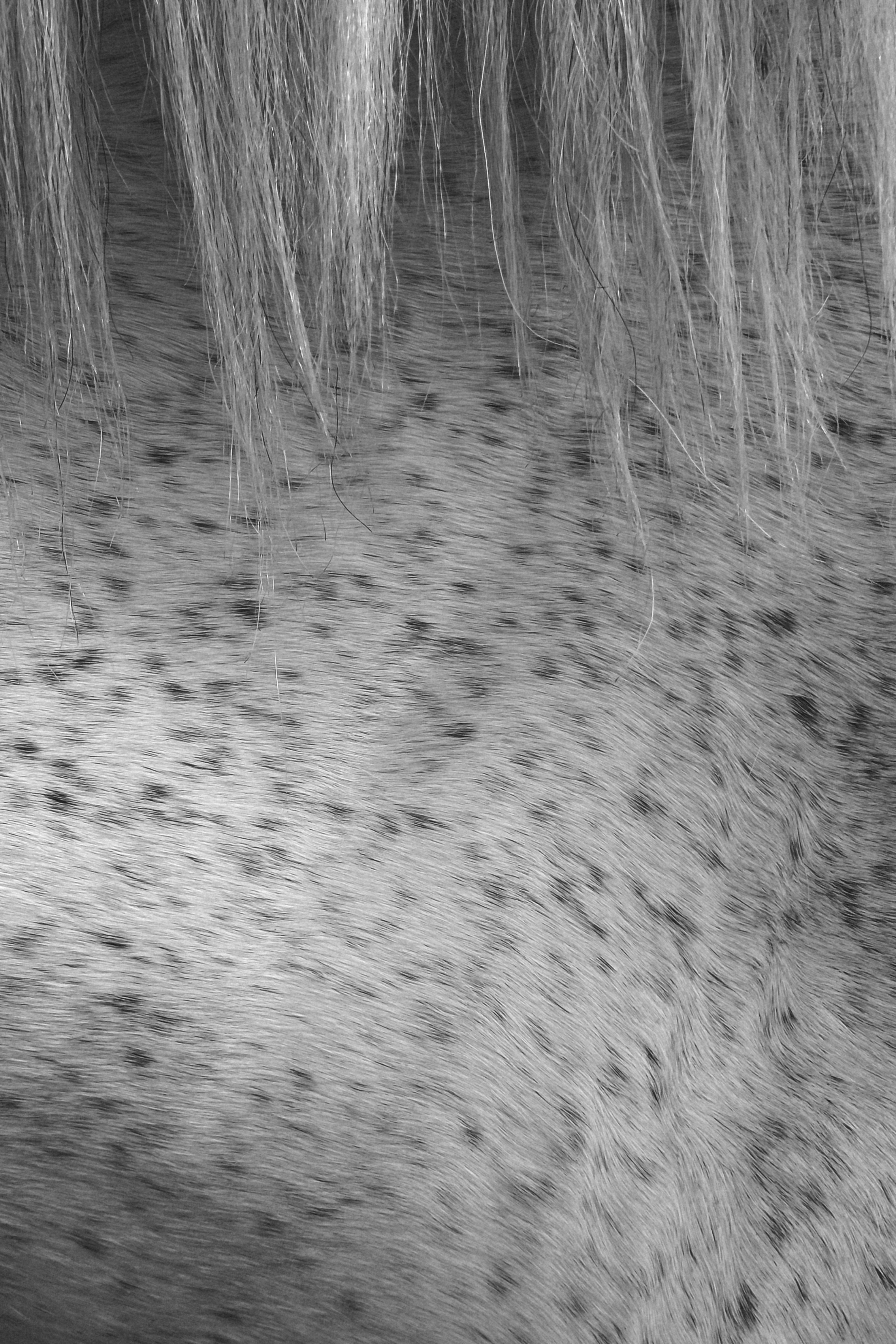 PREDUBEZHDAI. Контент-фотограф для брендов и личных блогов Полина Аверьянова