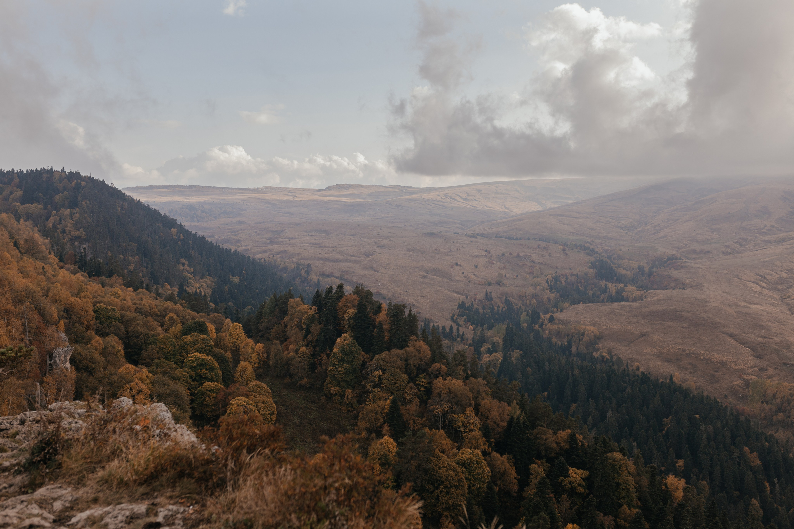 Кристина и Андрей|Wedding love story. Свадебный фотограф в Ростове-на-Дону и Азове Малявка Анастасия