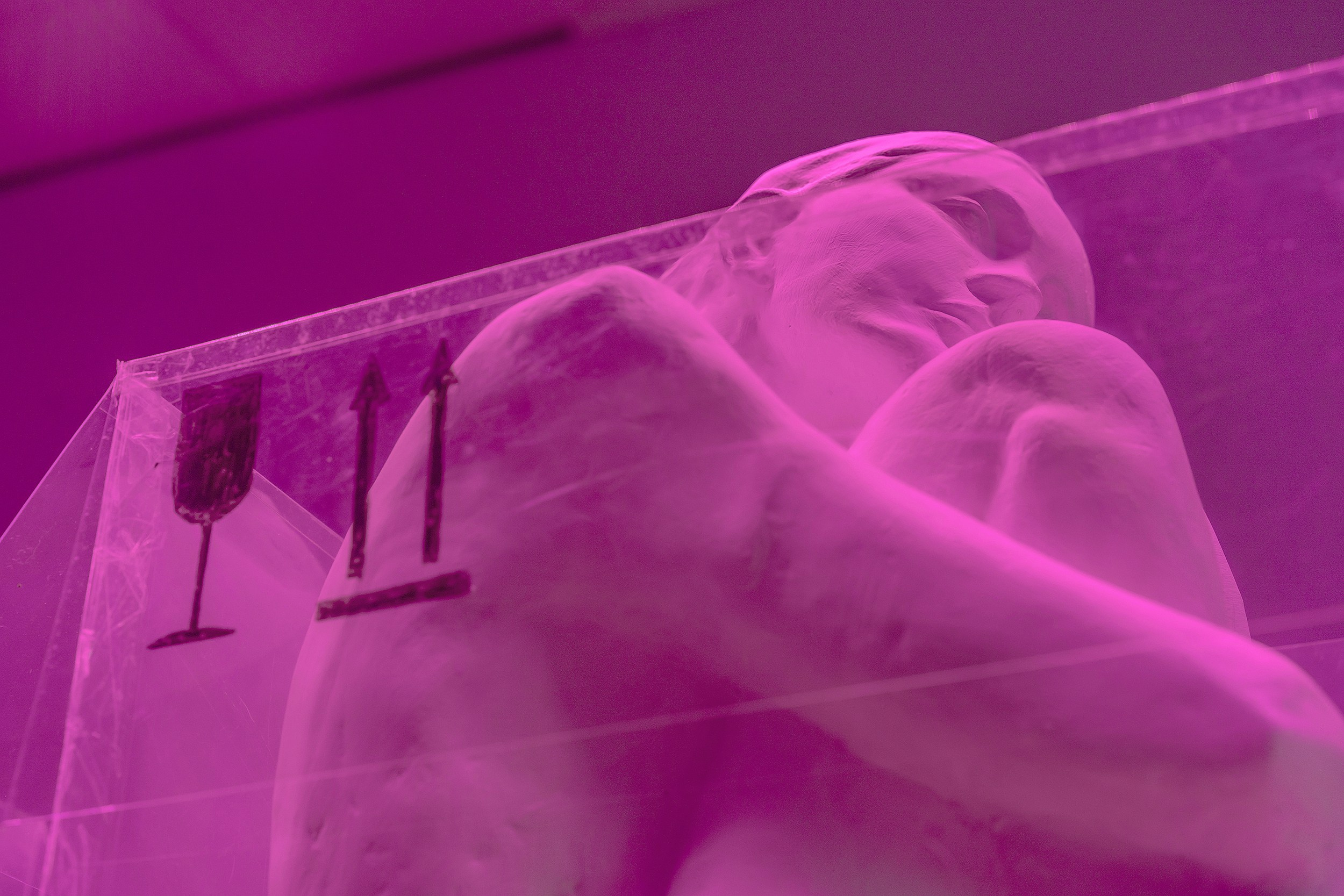 Инсталляция «Парниковый эффект» Художницы Софьи Григорьевой на тему сиротства, подростков в детских домах