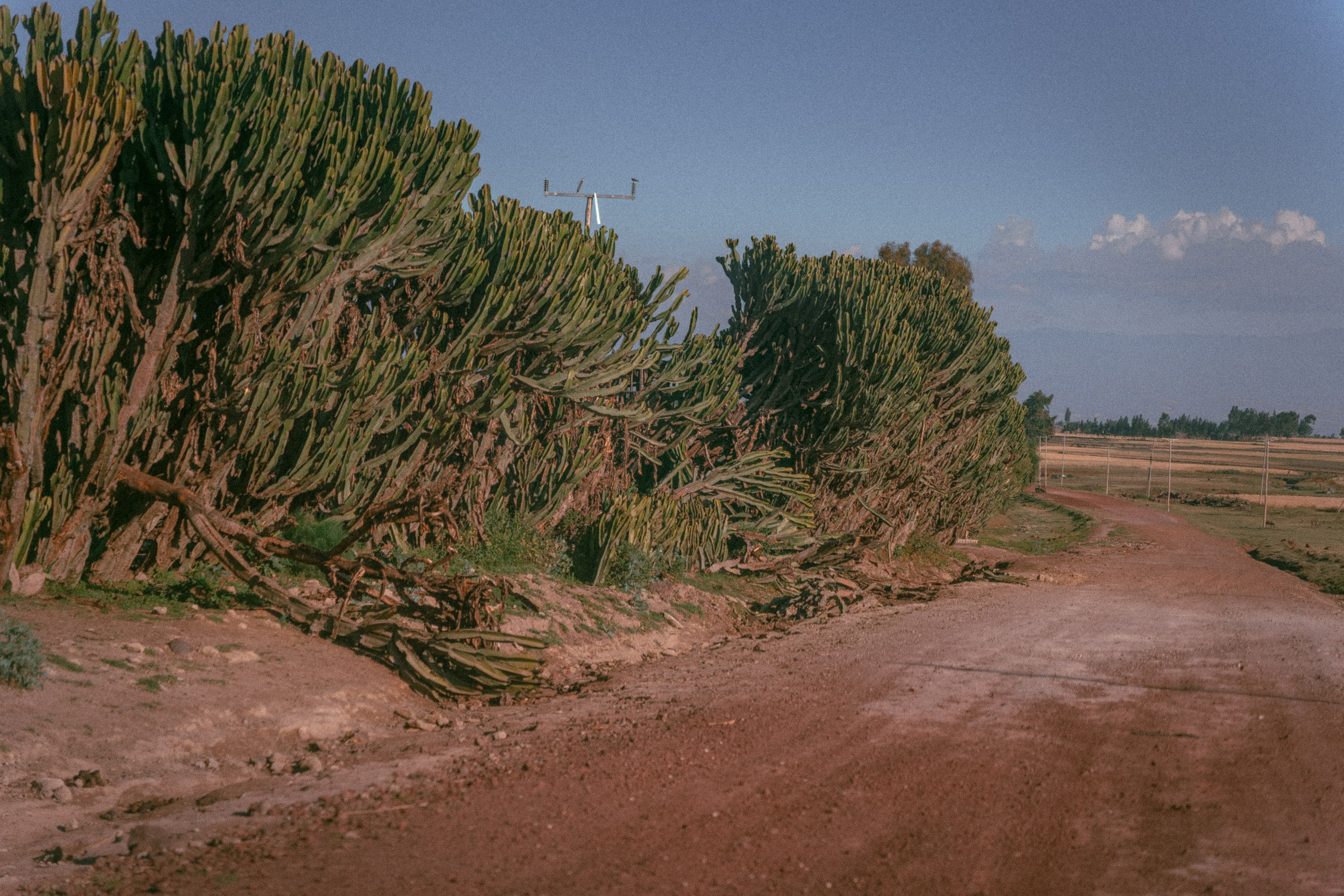 По дорогам Эфиопии. Юля Дэй • Фотограф, Санкт-Петербург