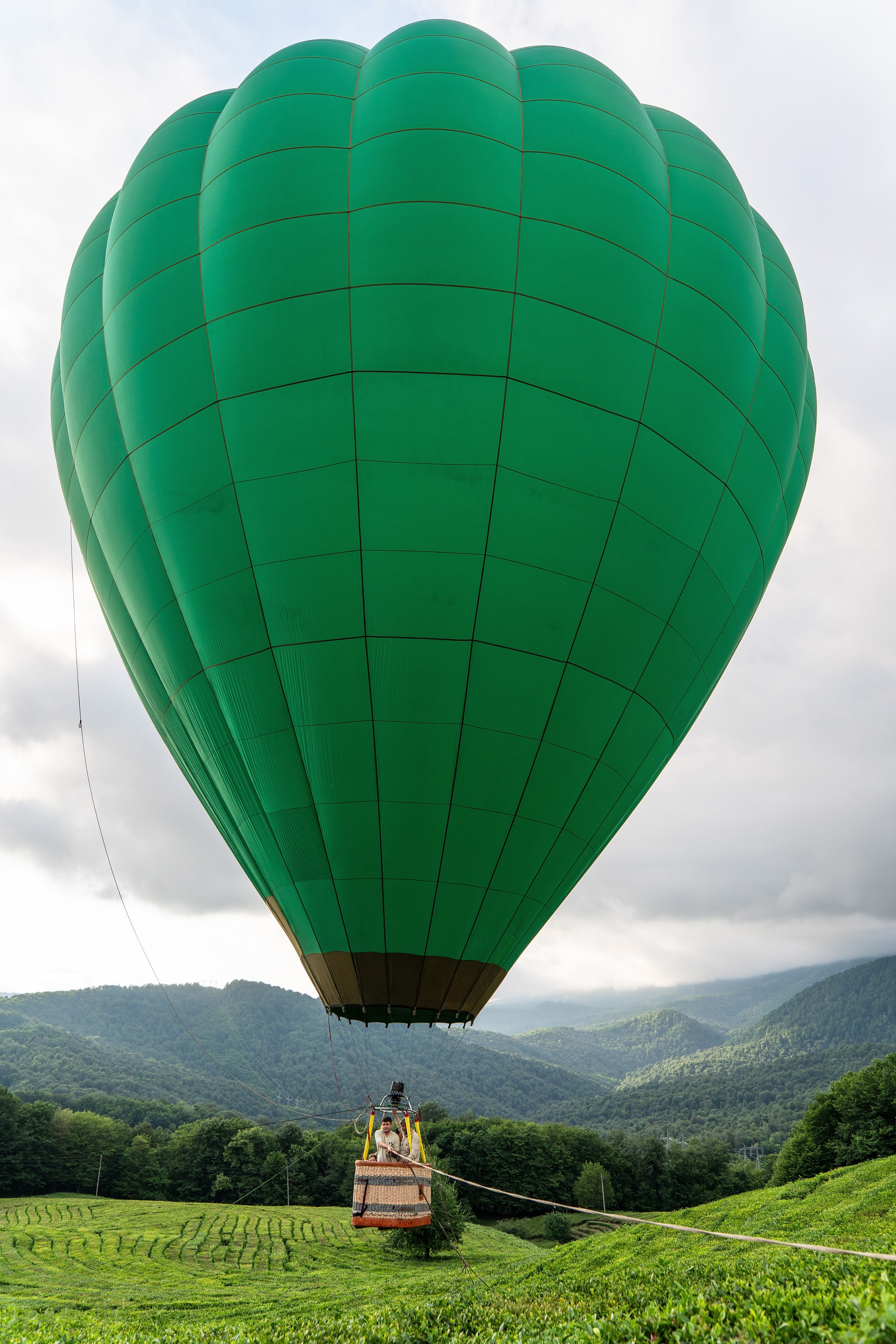 Фотограф на праздник Сочи. Фотограф Сочи