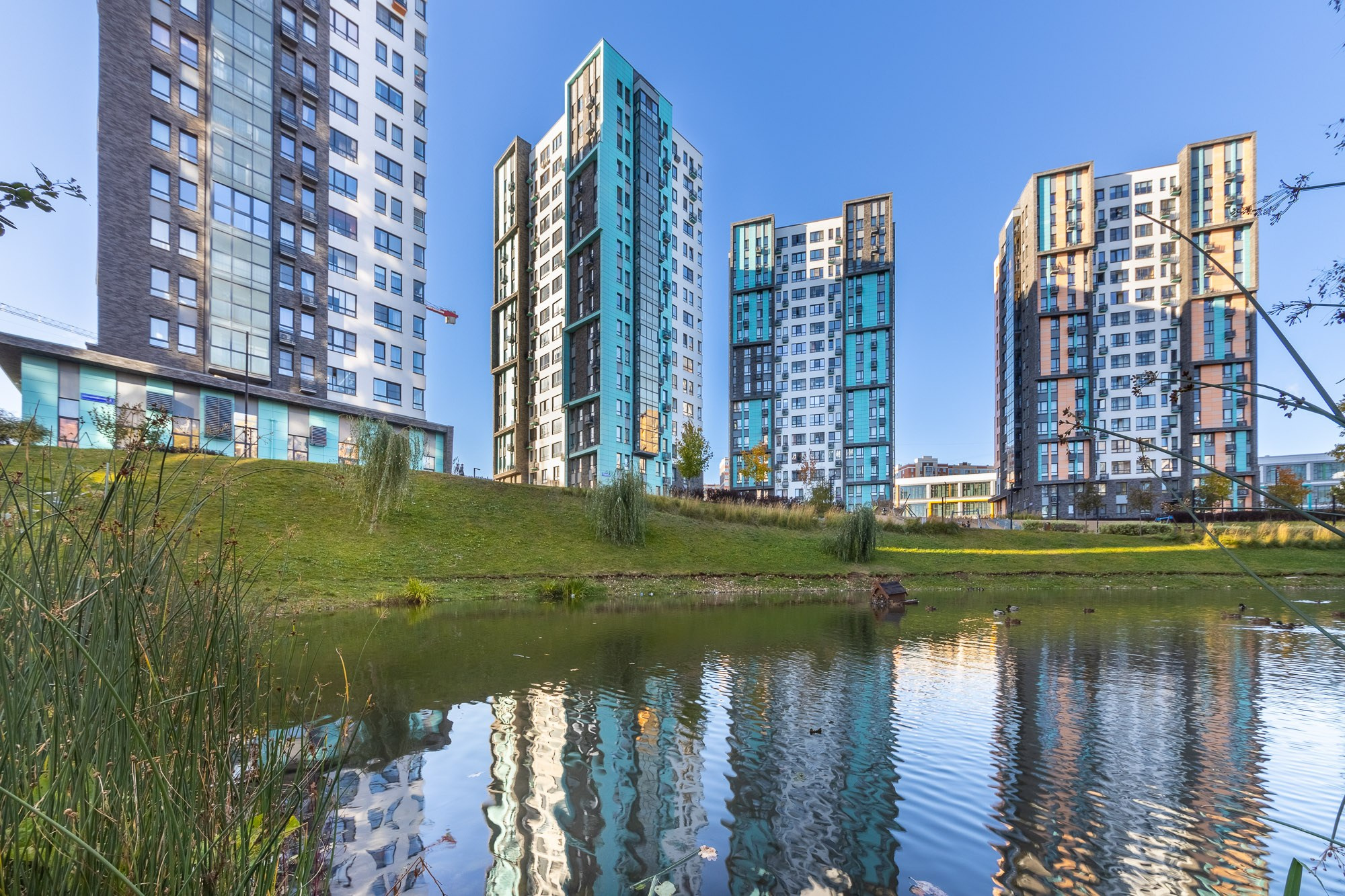 Экстерьер. Фотограф Лагутин Анатолий