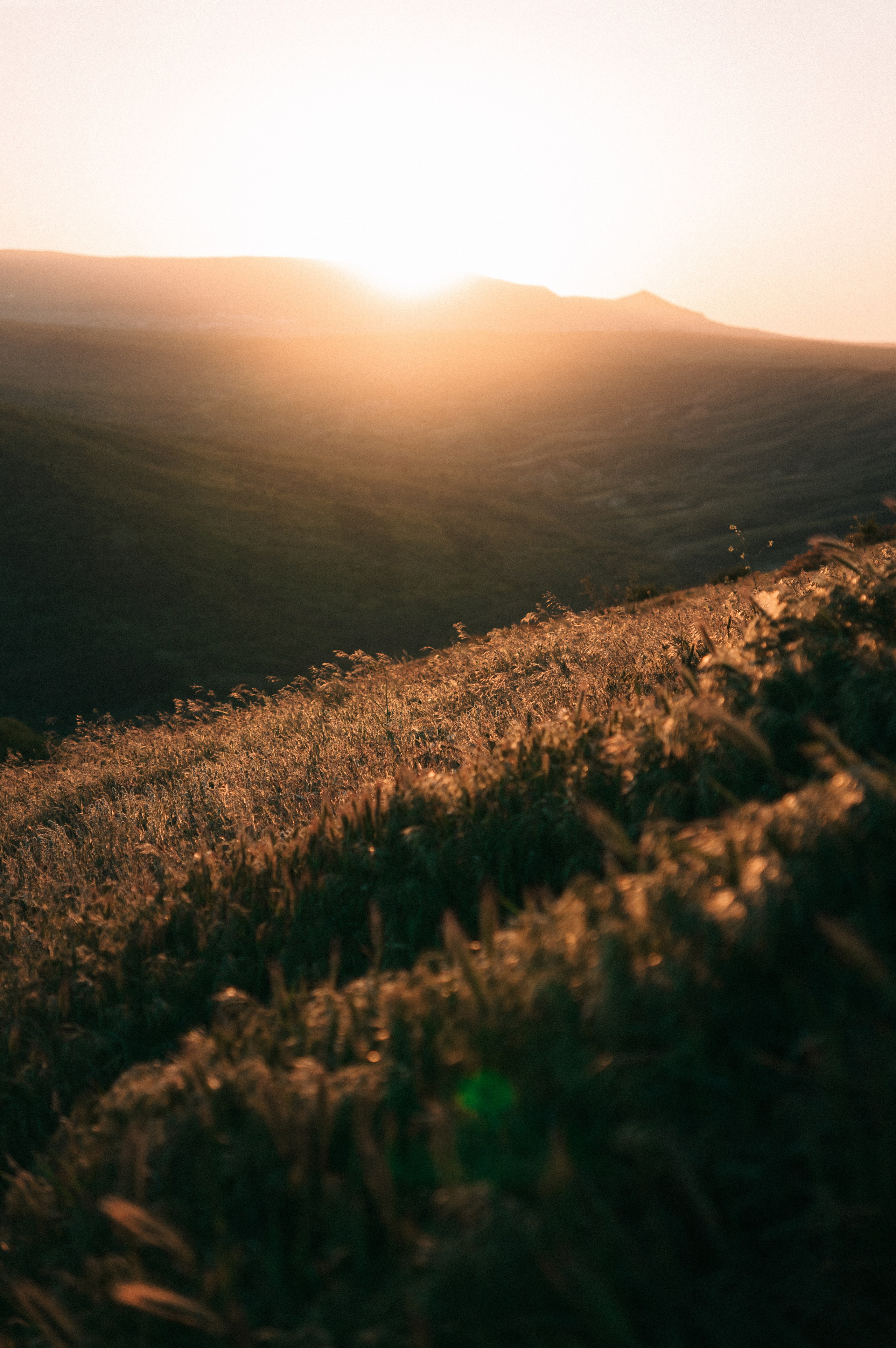 Йога-ретрит. Обо мне