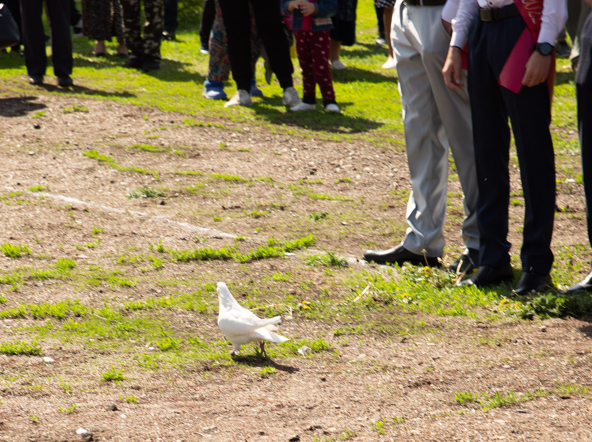 Последний звонок 2022. Валерий Логачев. Фото, музыка, видео — для души
