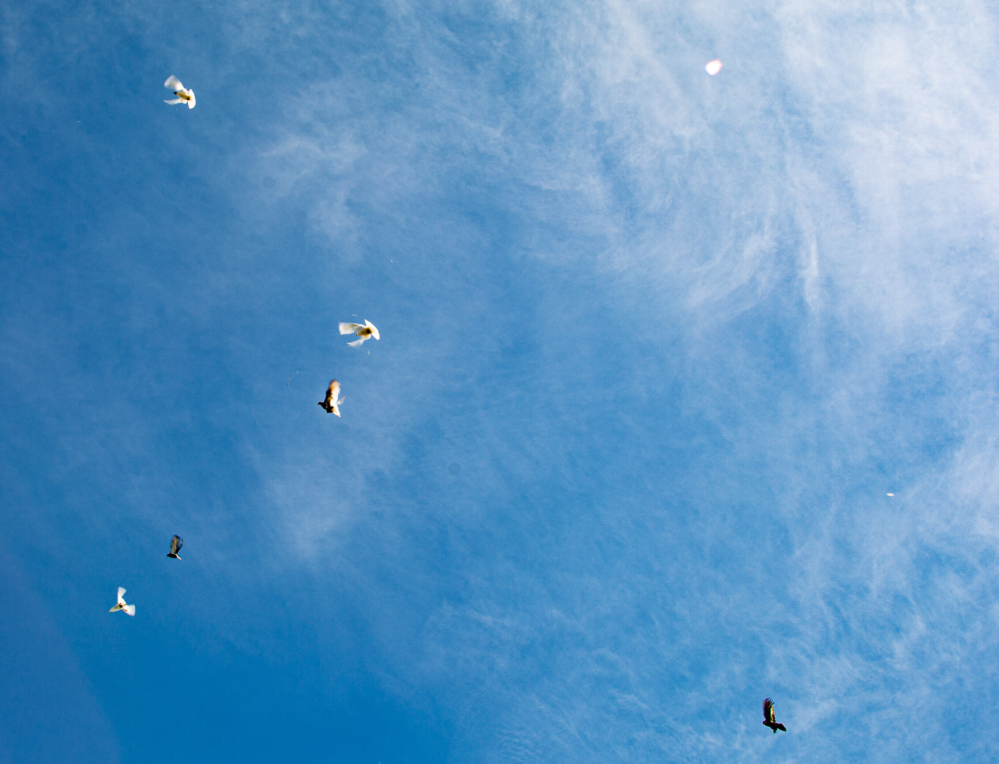 Последний звонок 2022. Валерий Логачев. Фото, музыка, видео — для души