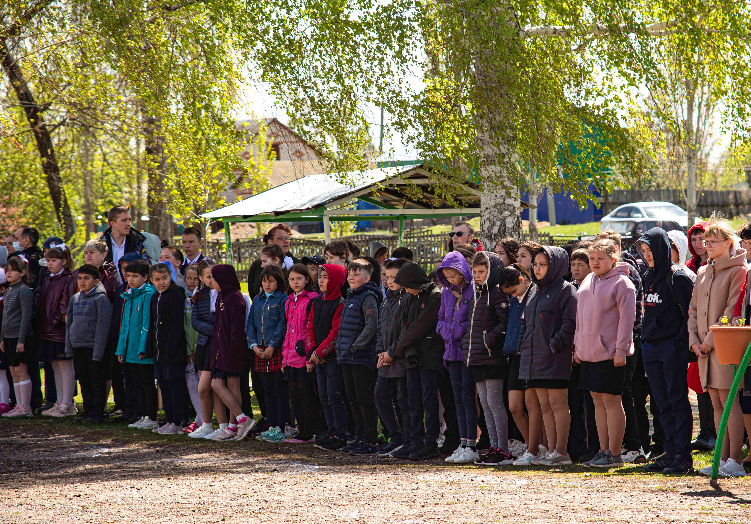 Венский вальс — с Днем Победы!. Валерий Логачев. Фото, музыка, видео — для души