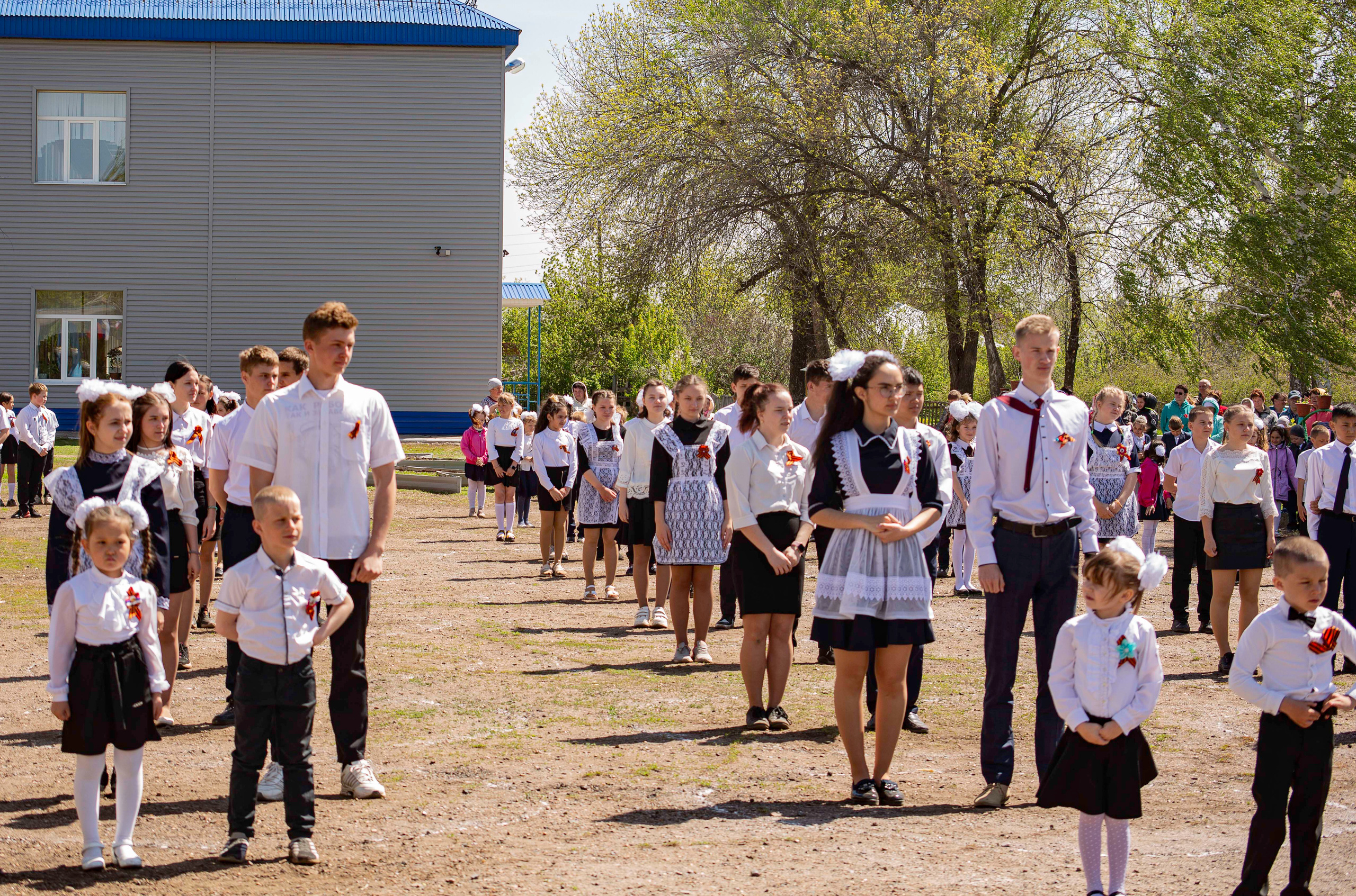 Венский вальс — с Днем Победы!. Валерий Логачев. Фото, музыка, видео — для души