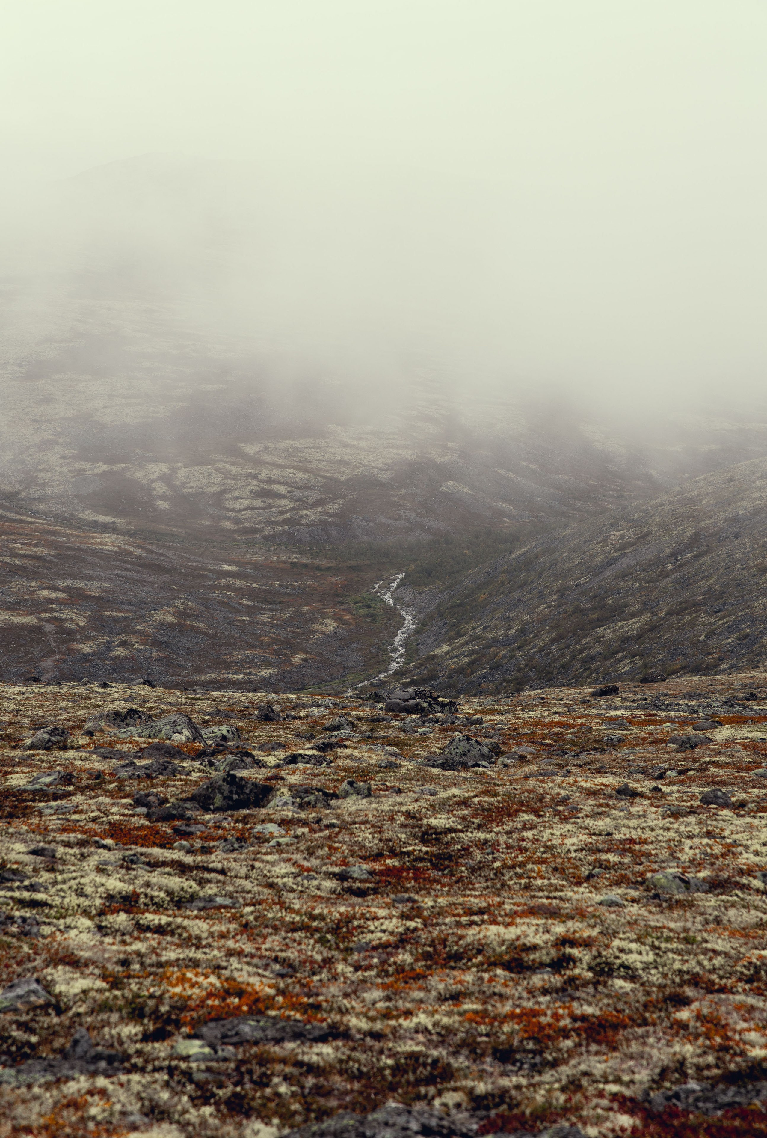 Кольский (осень 2025). Фотограф Виноградов Константин