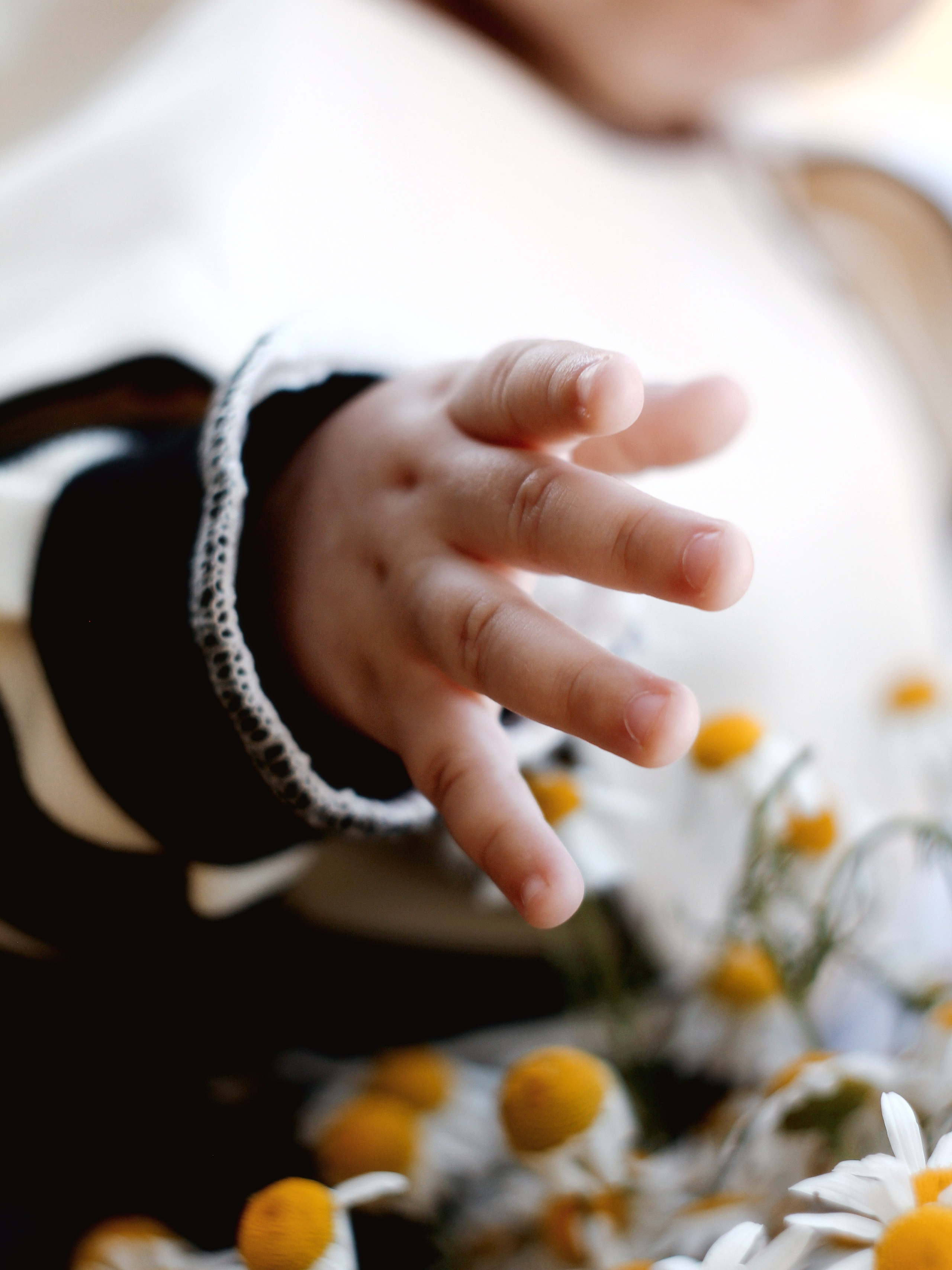 Семейная. Photography Eva