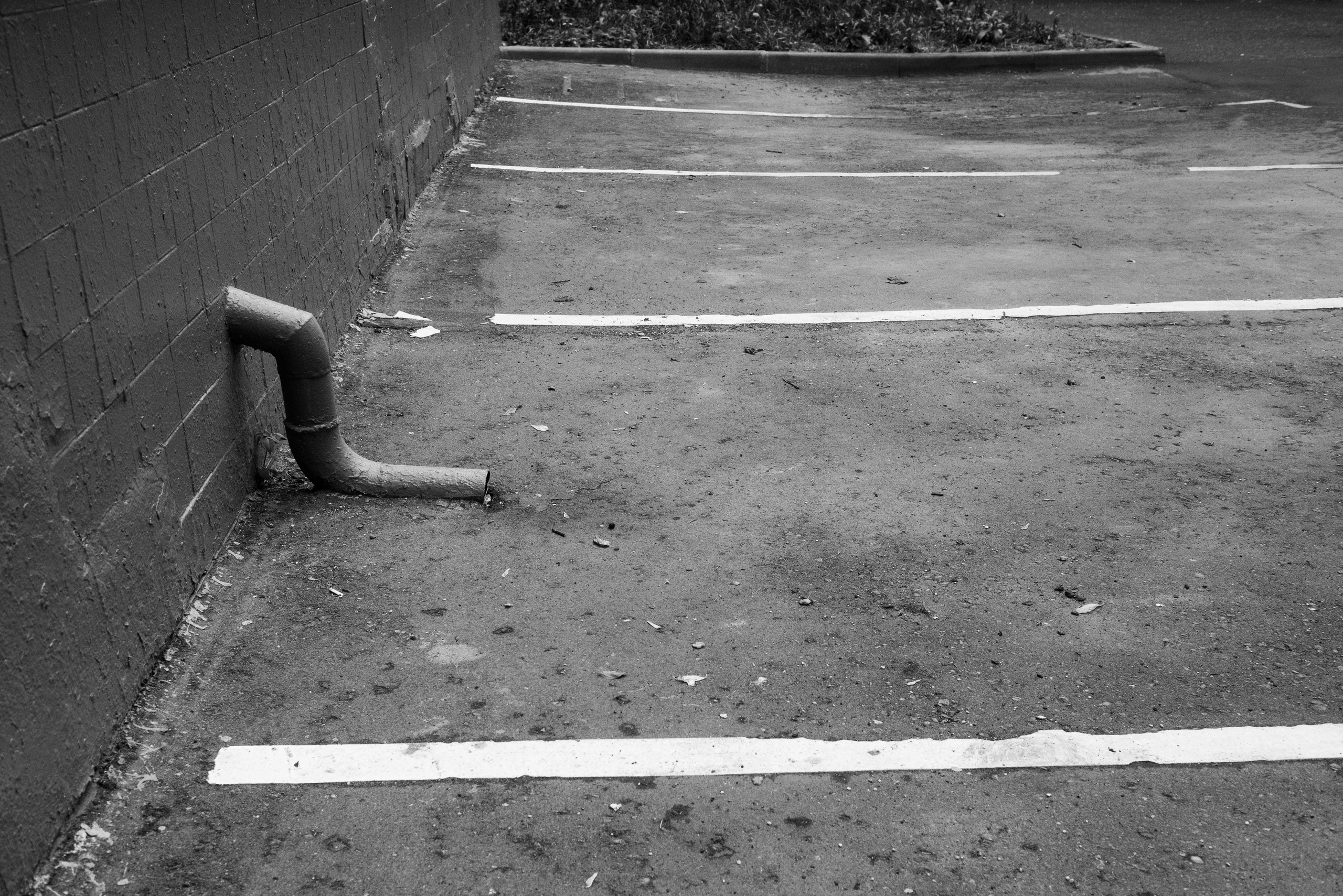 Среда. Портретный и архитектурный фотограф в Москве и Санкт-Петербурге