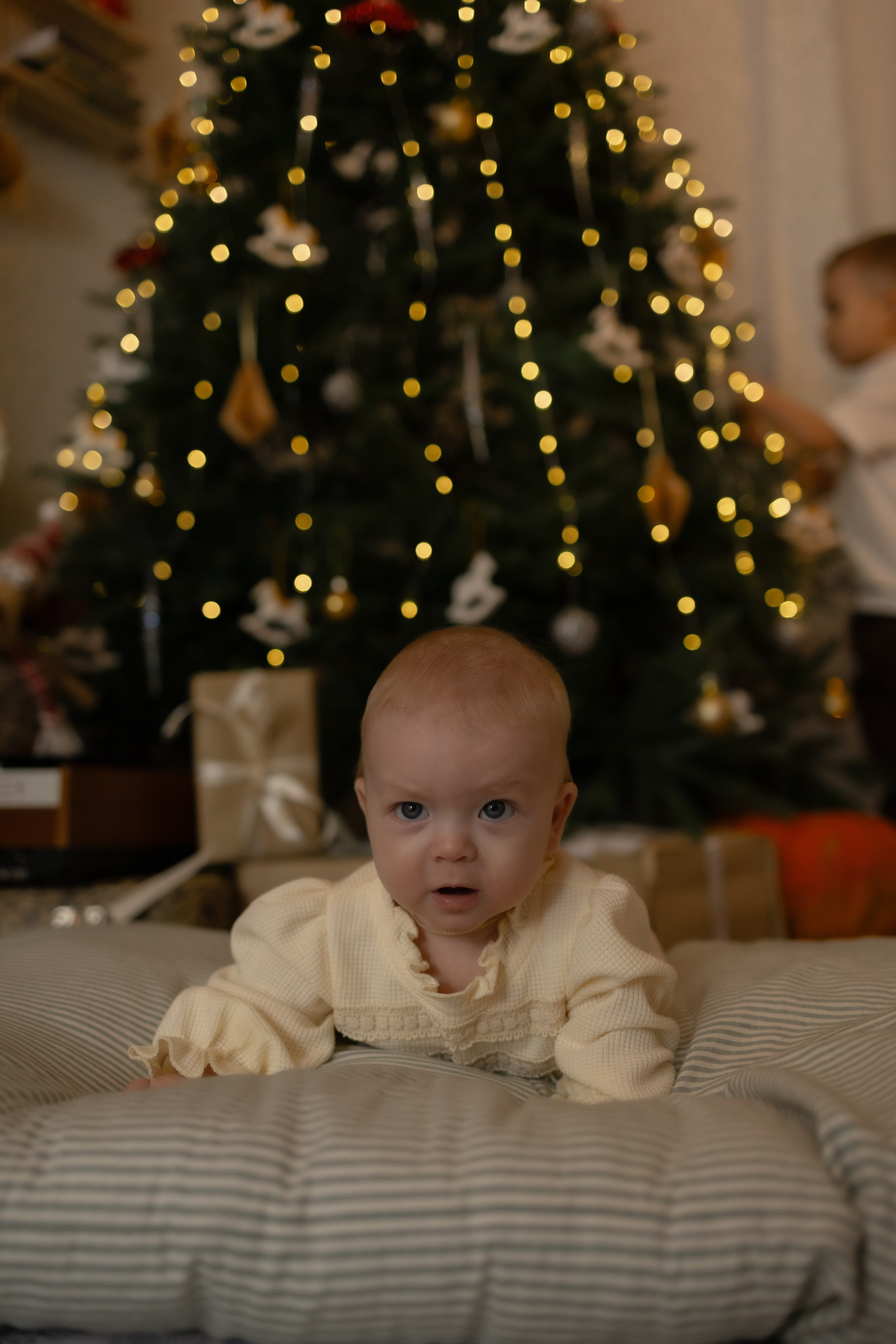 Семейная новогодняя. Фотограф Татьяна Семенова